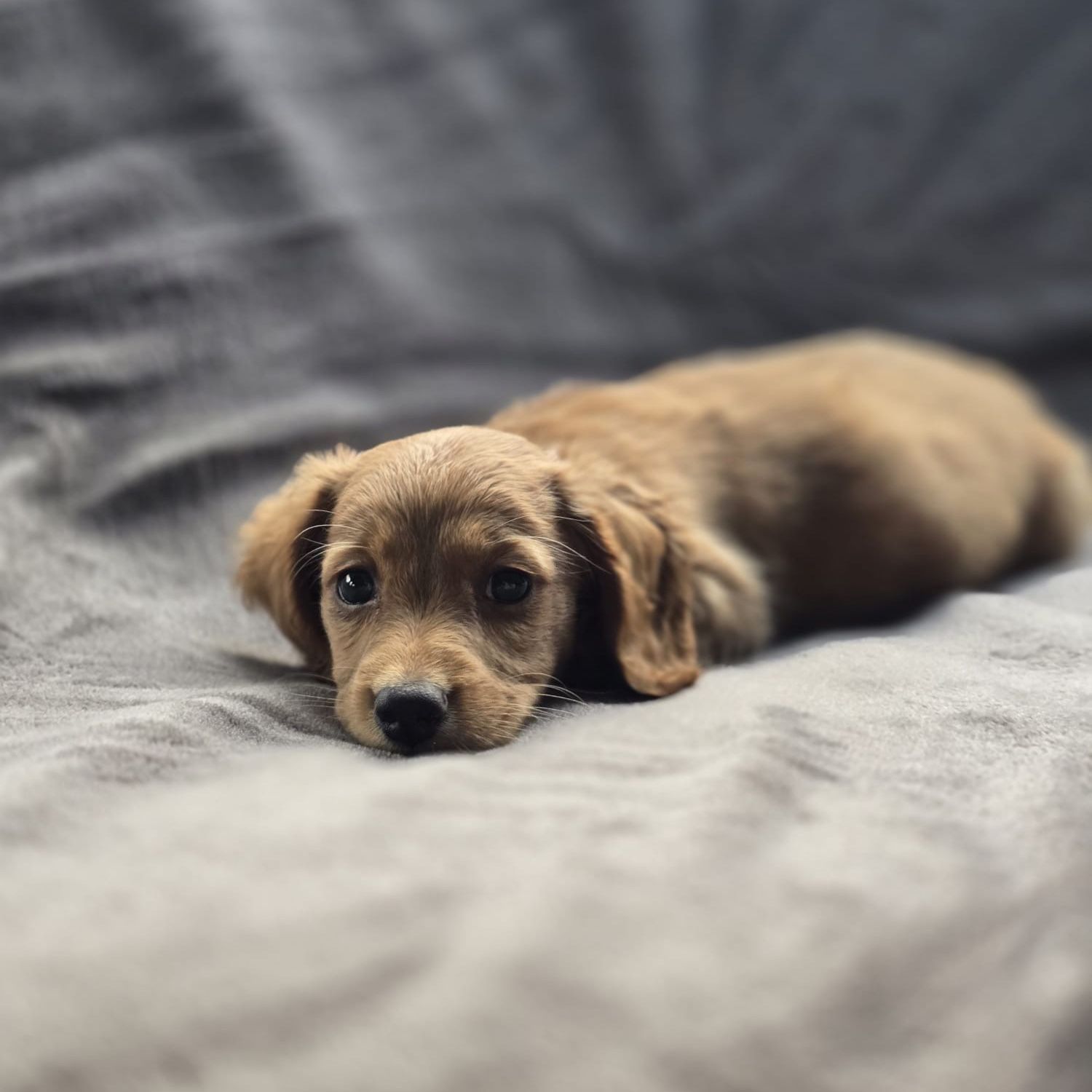 Yuki