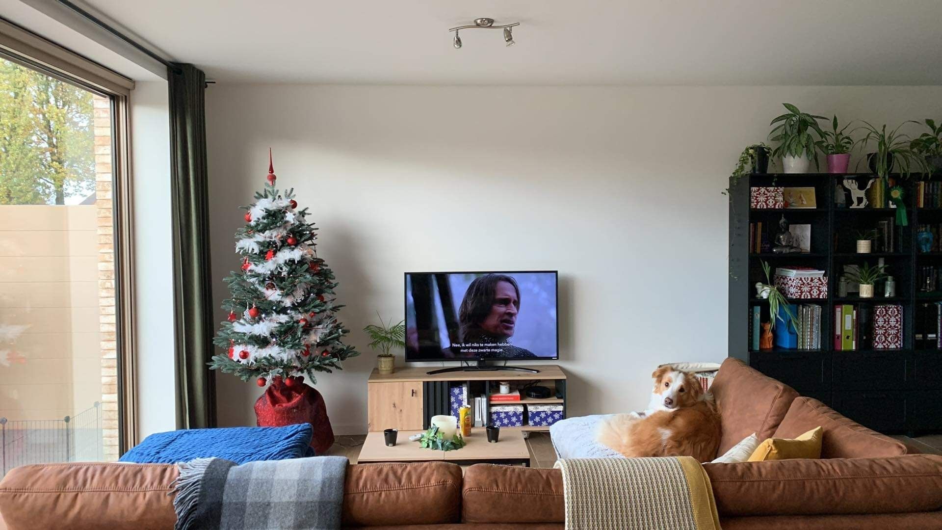 image-8