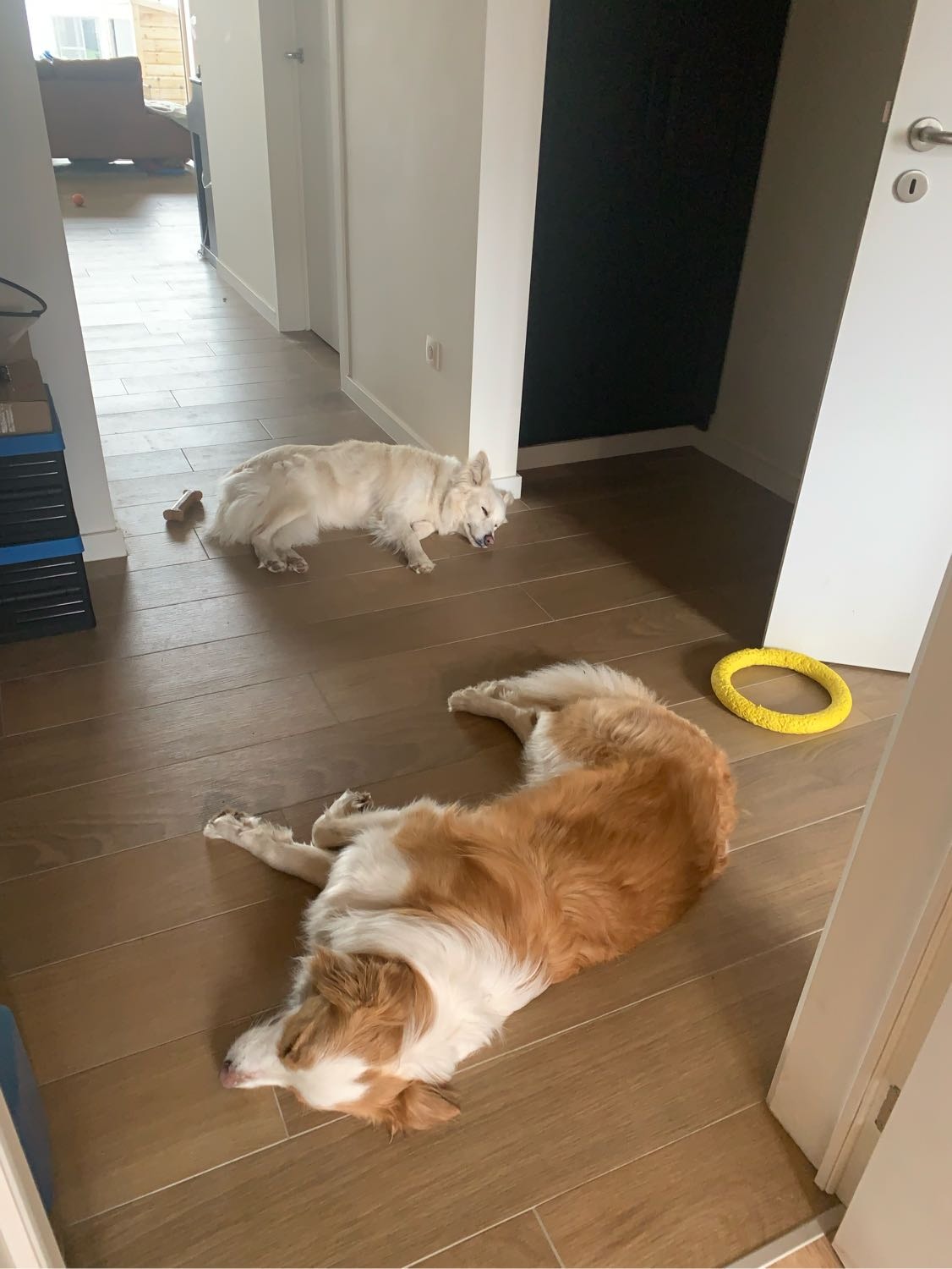 image-36