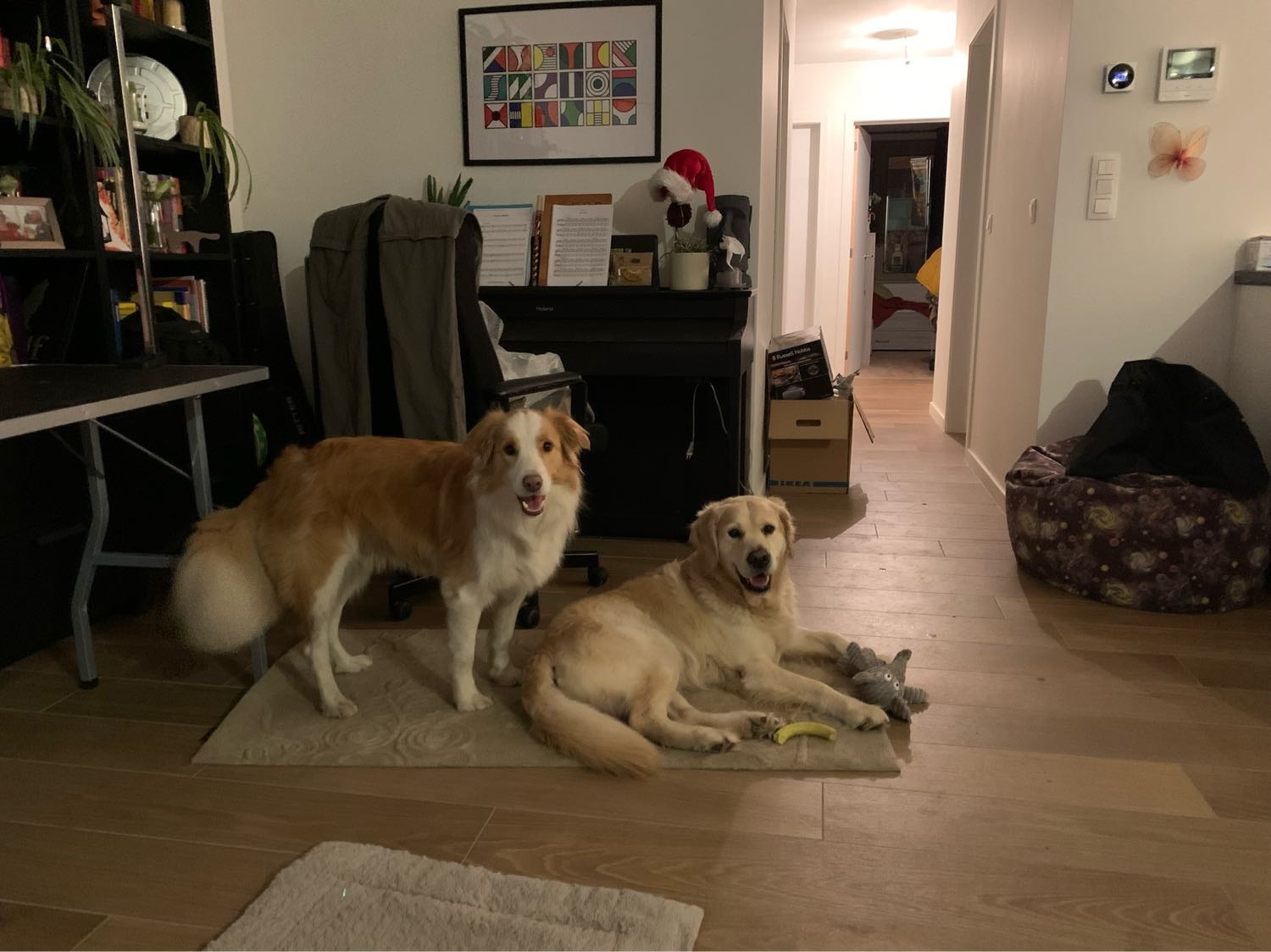 image-3