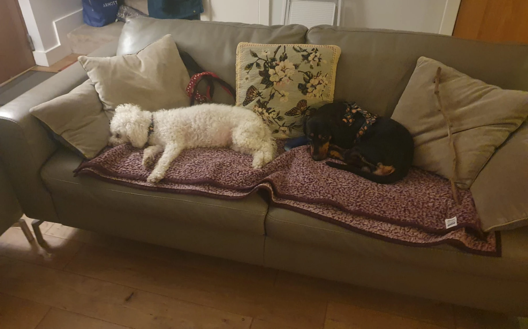 image-18