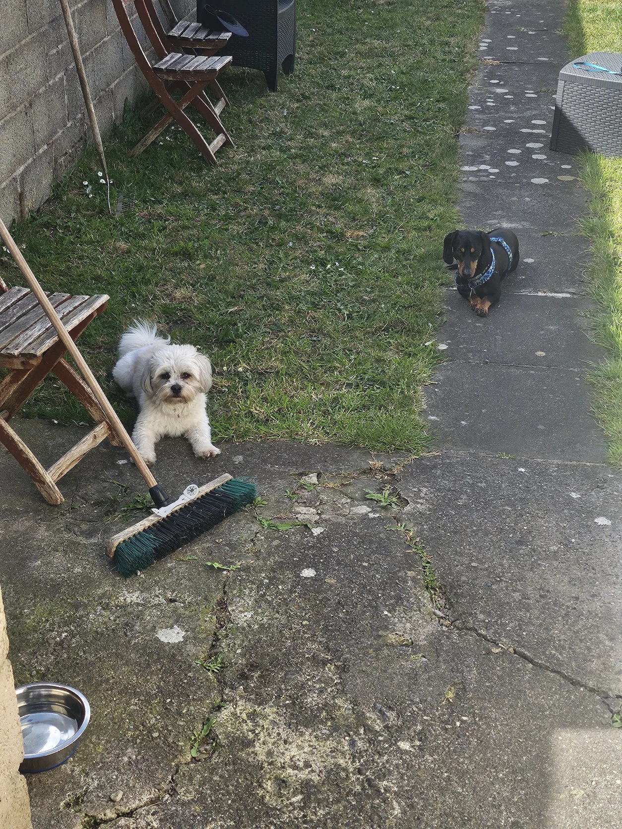 image-25