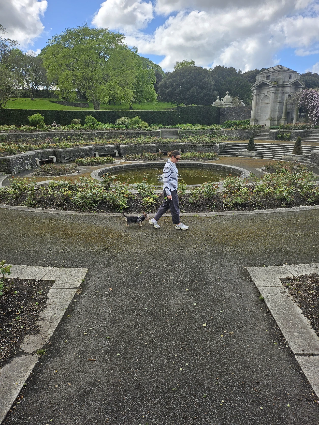 image-11