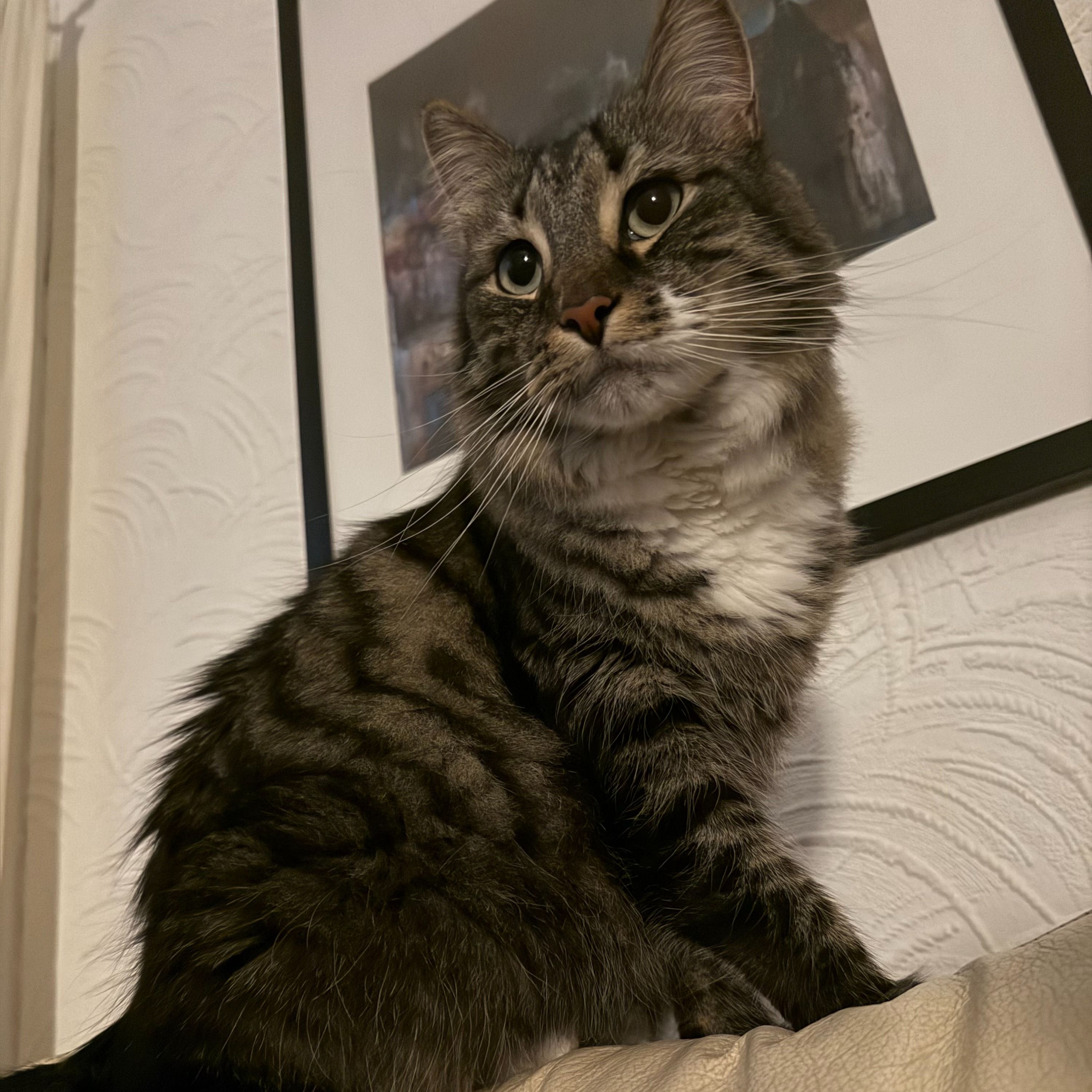 Gus