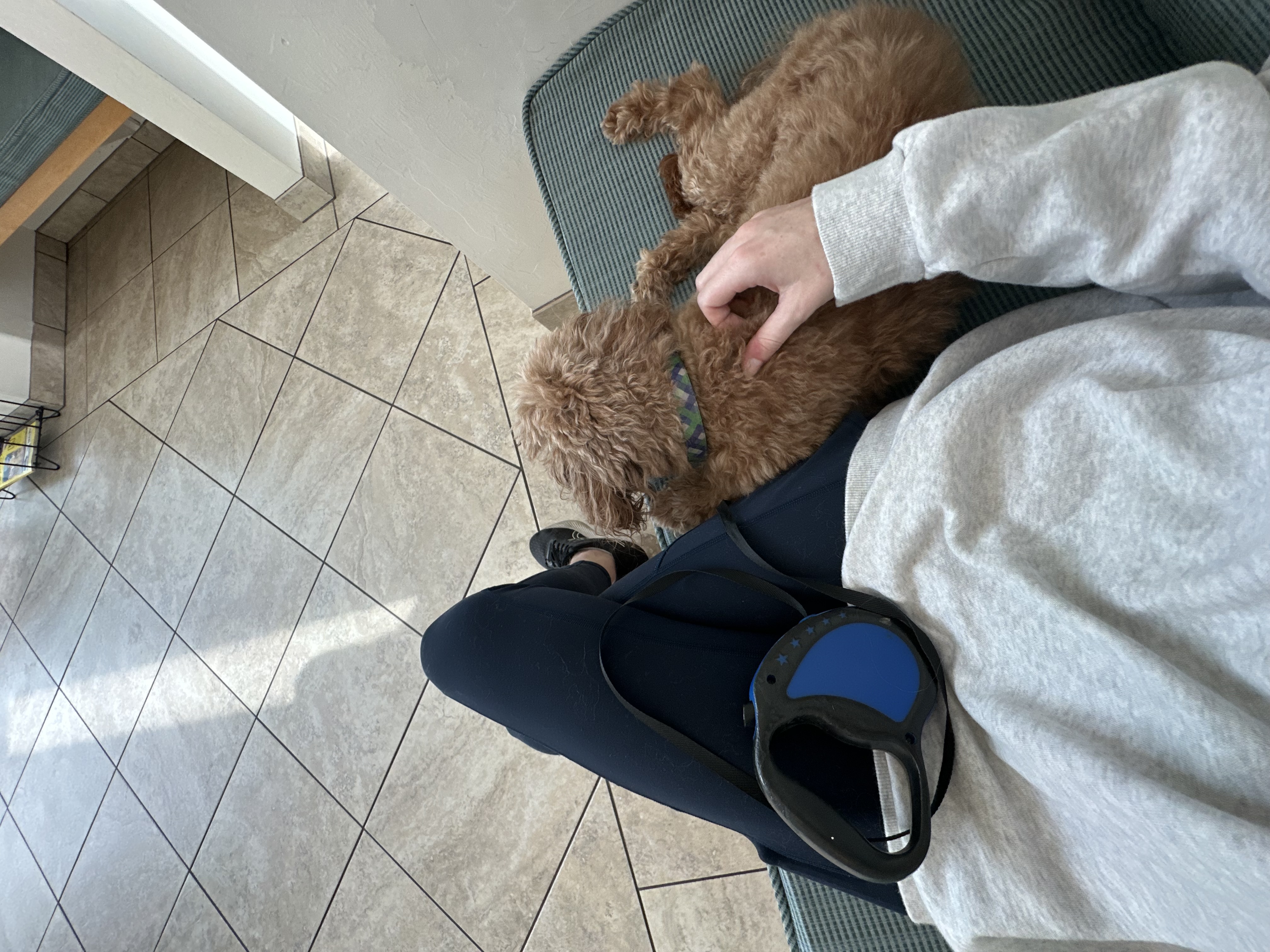 image-7