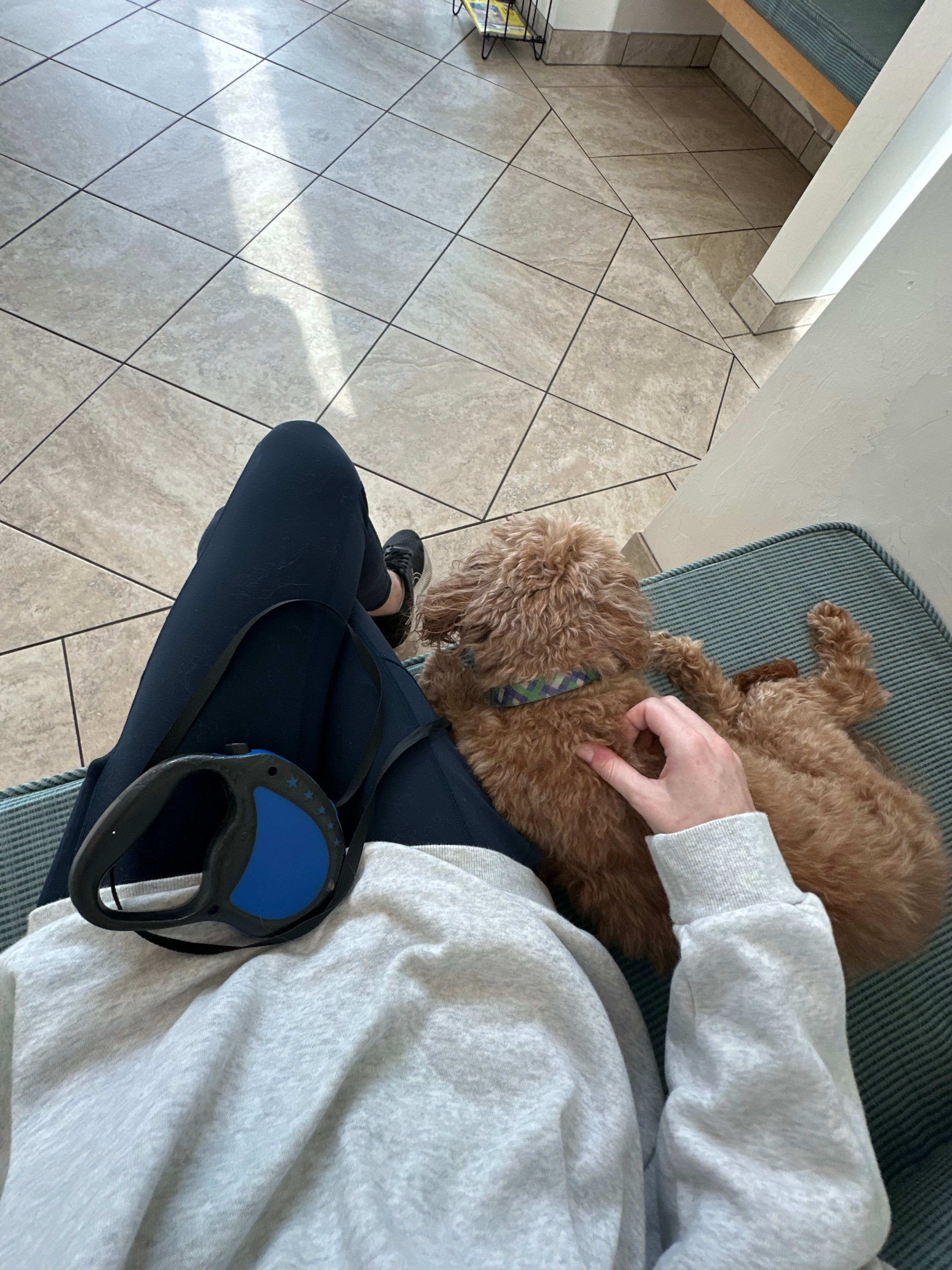 image-7