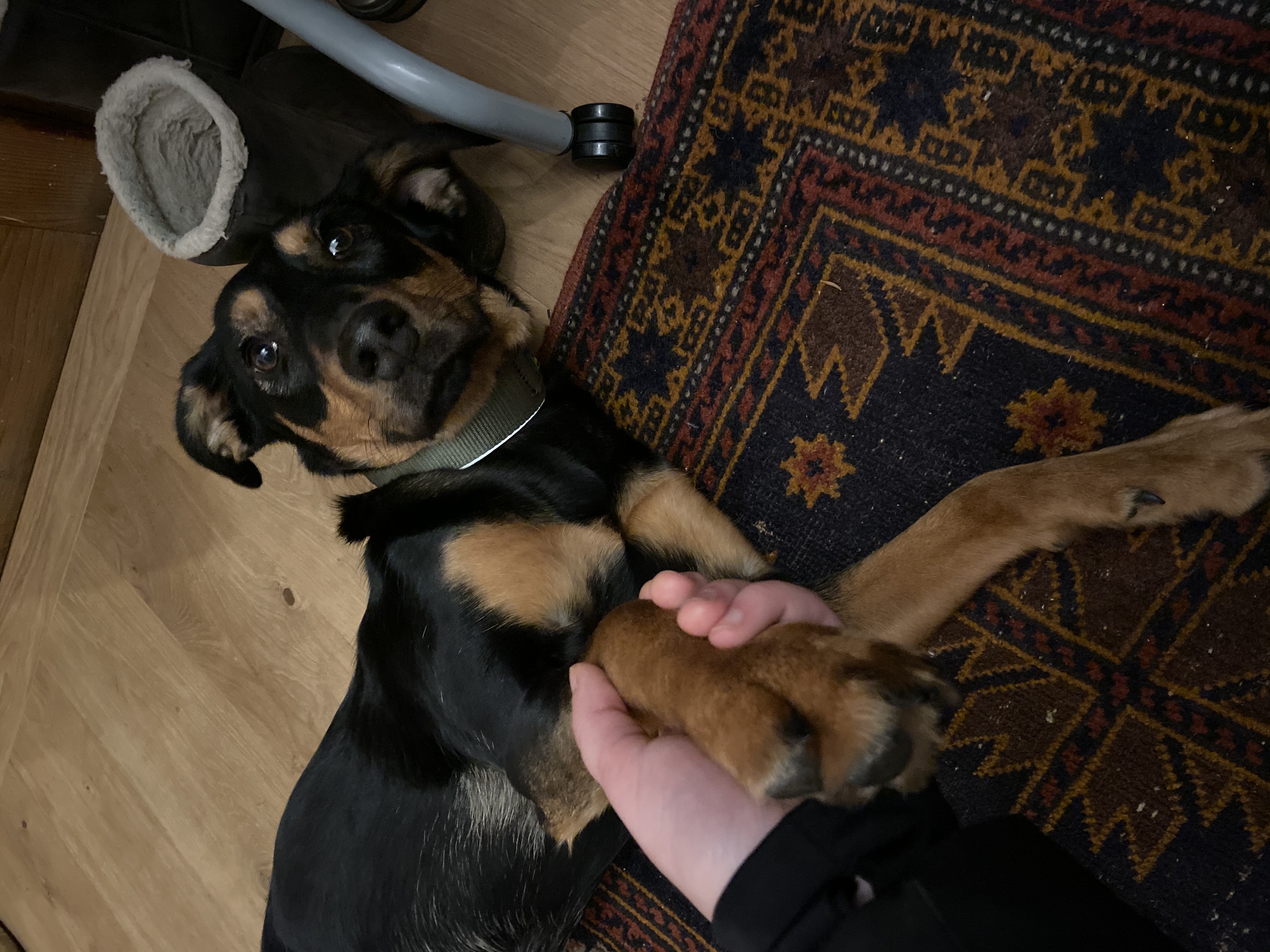 image-9