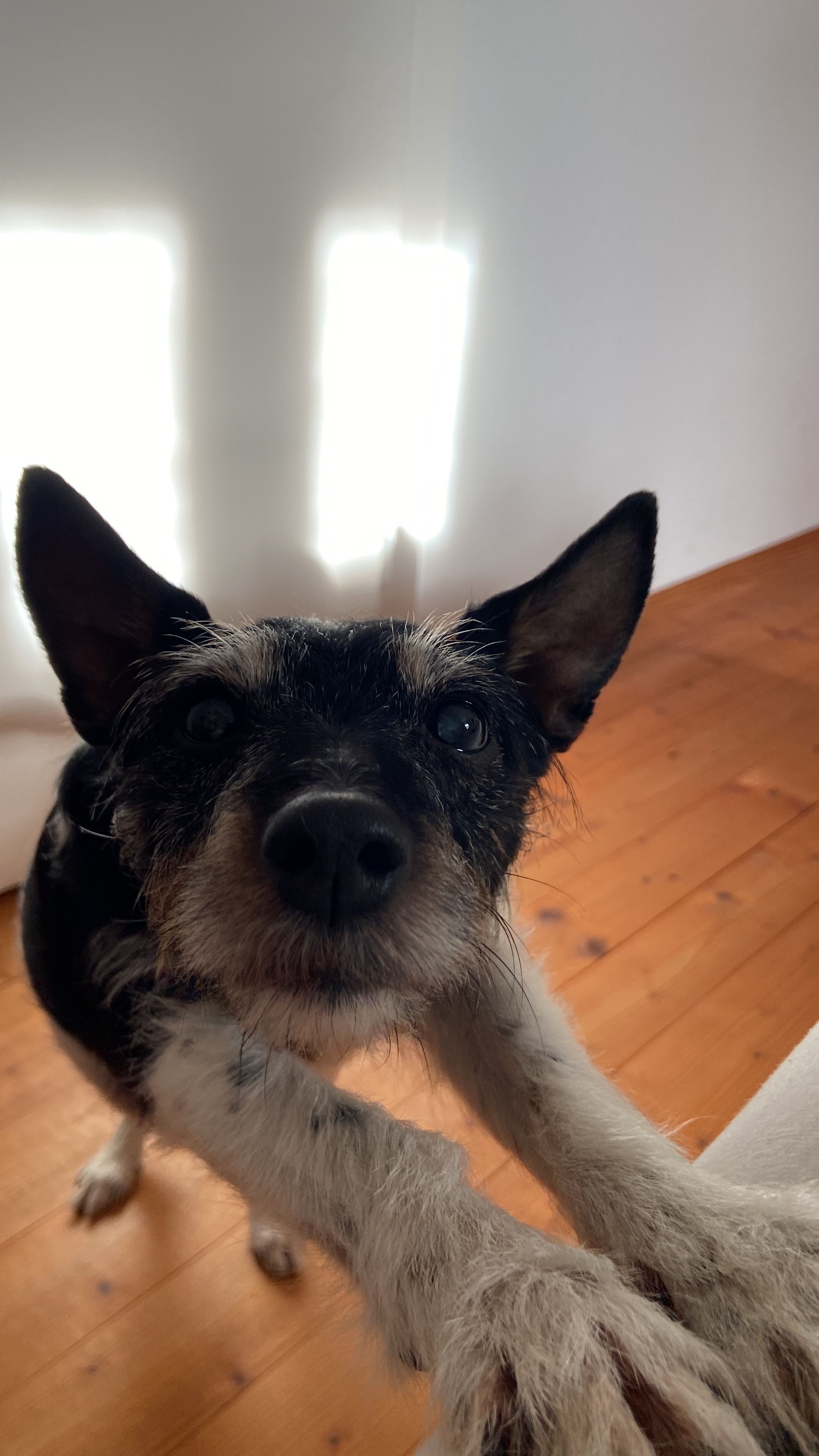 image-8