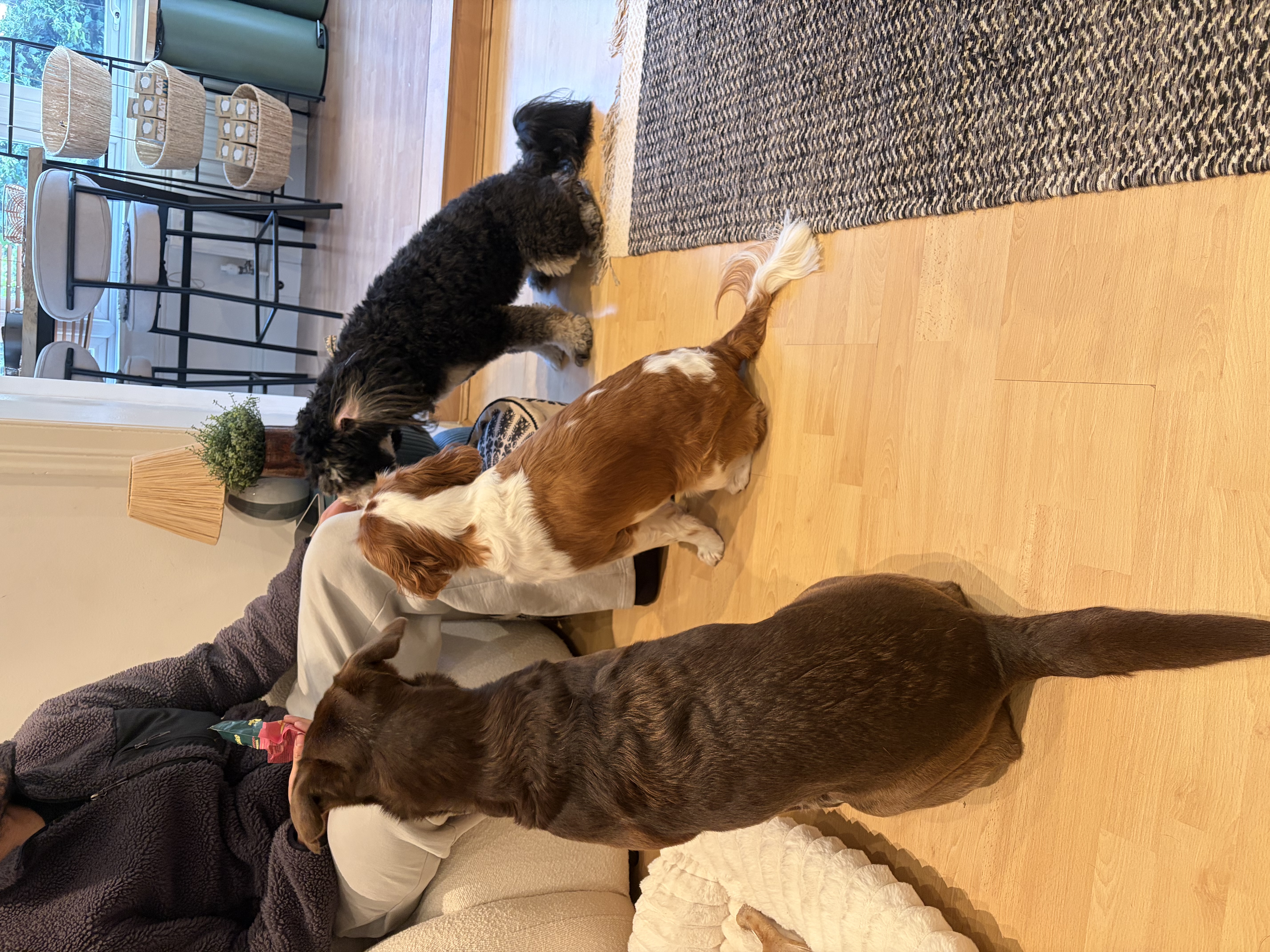 image-32