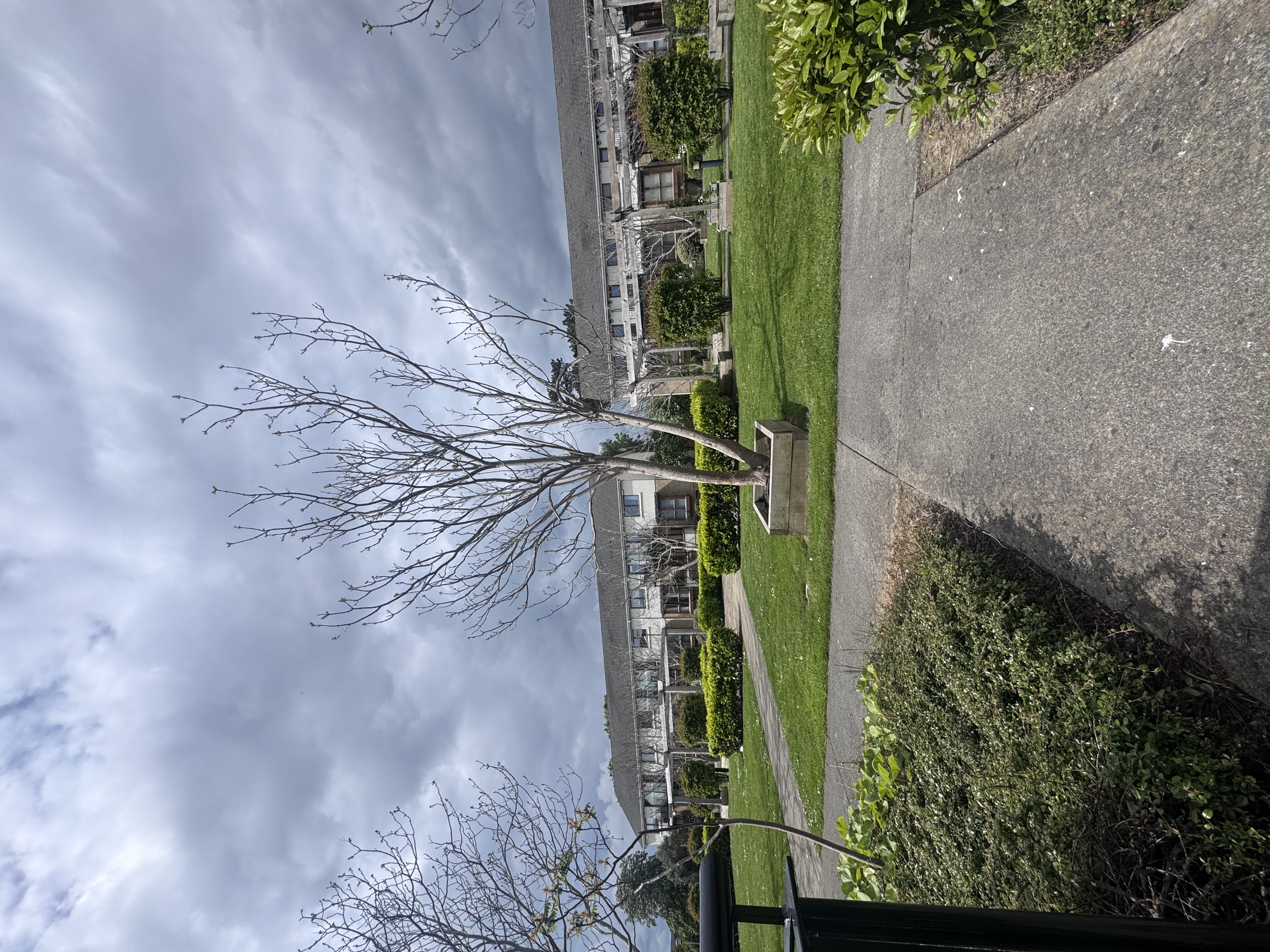 image-18