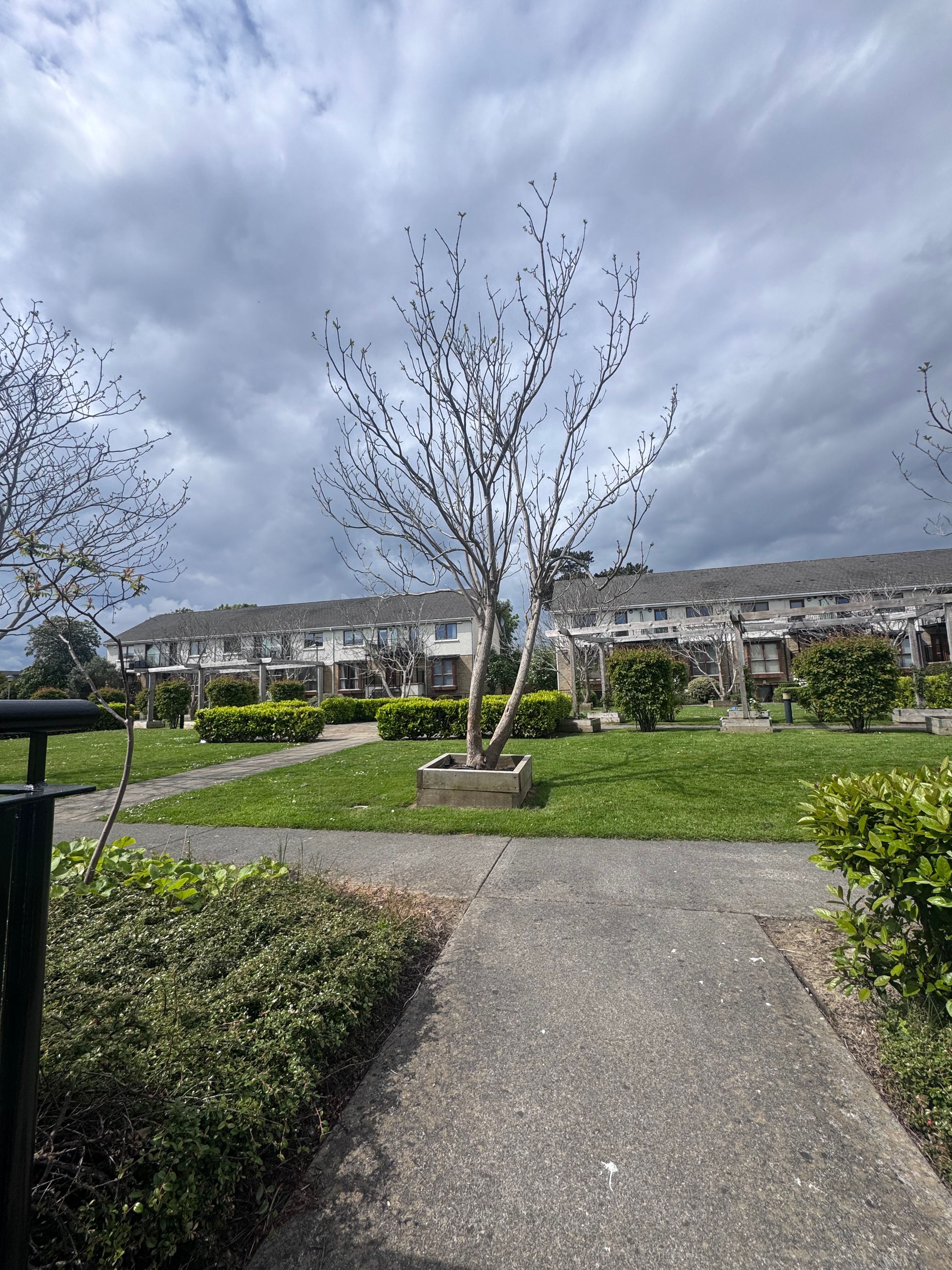 image-18
