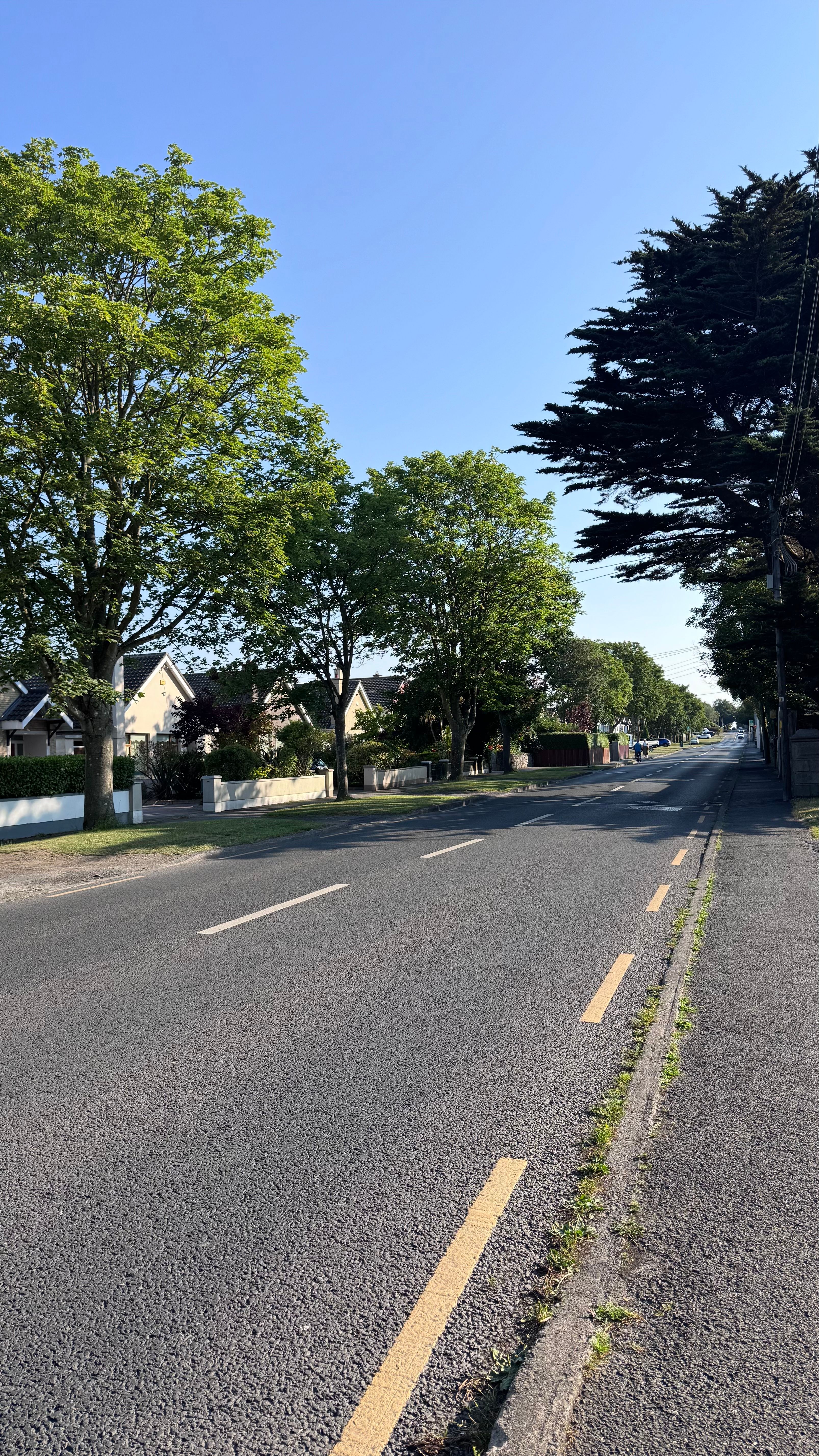 image-21