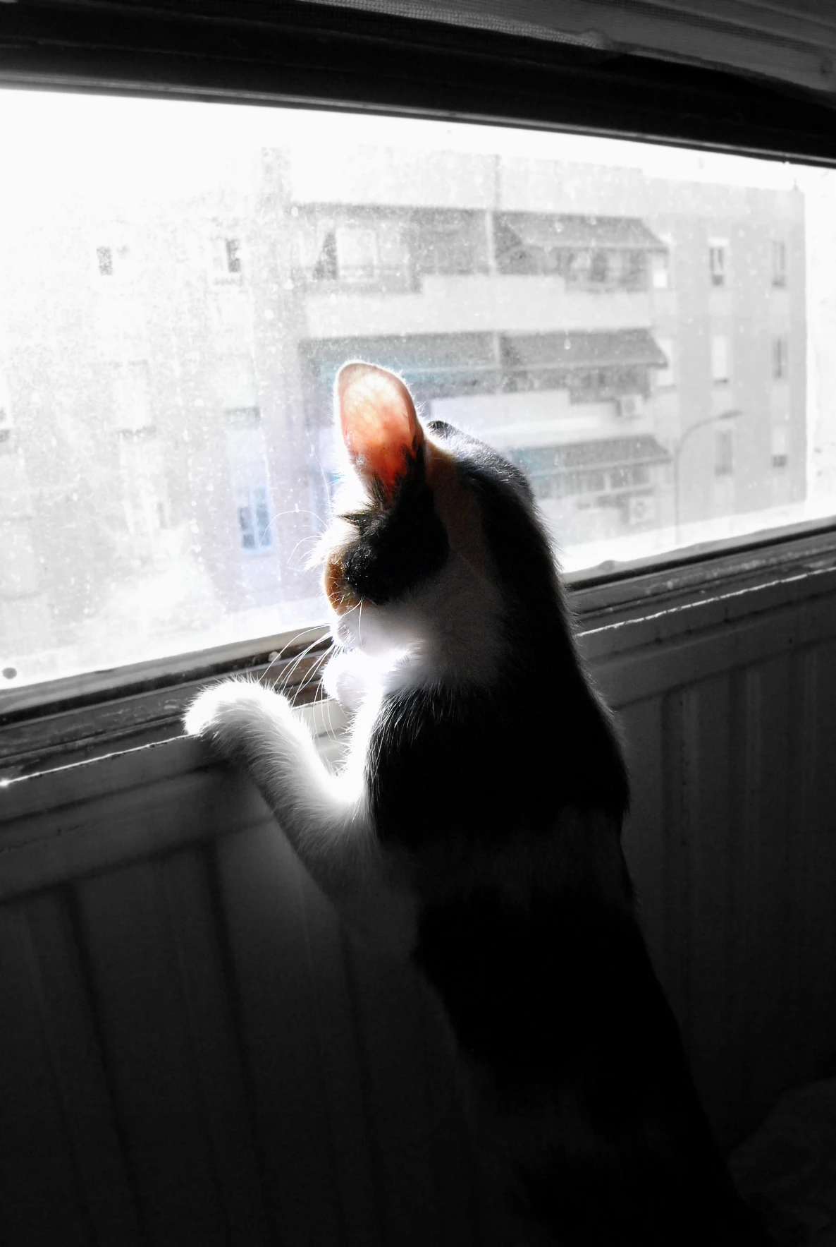 image-34