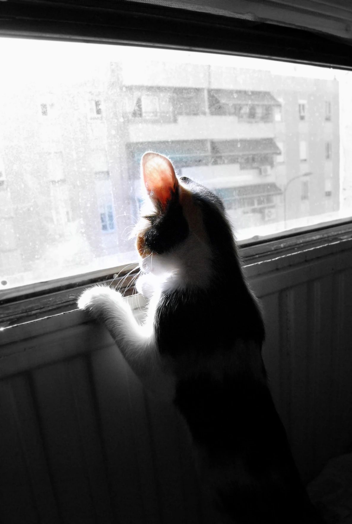 image-34