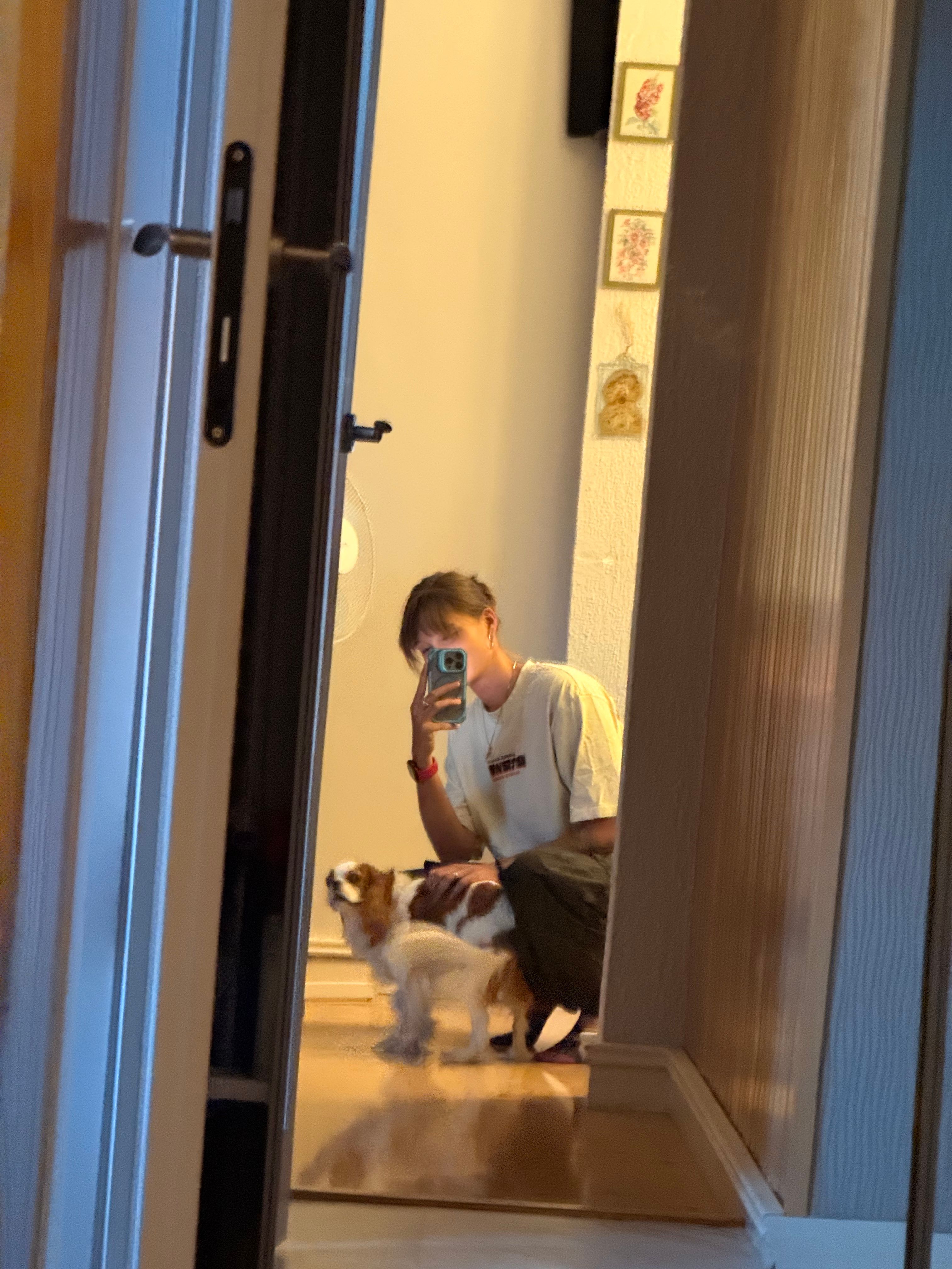 image-7