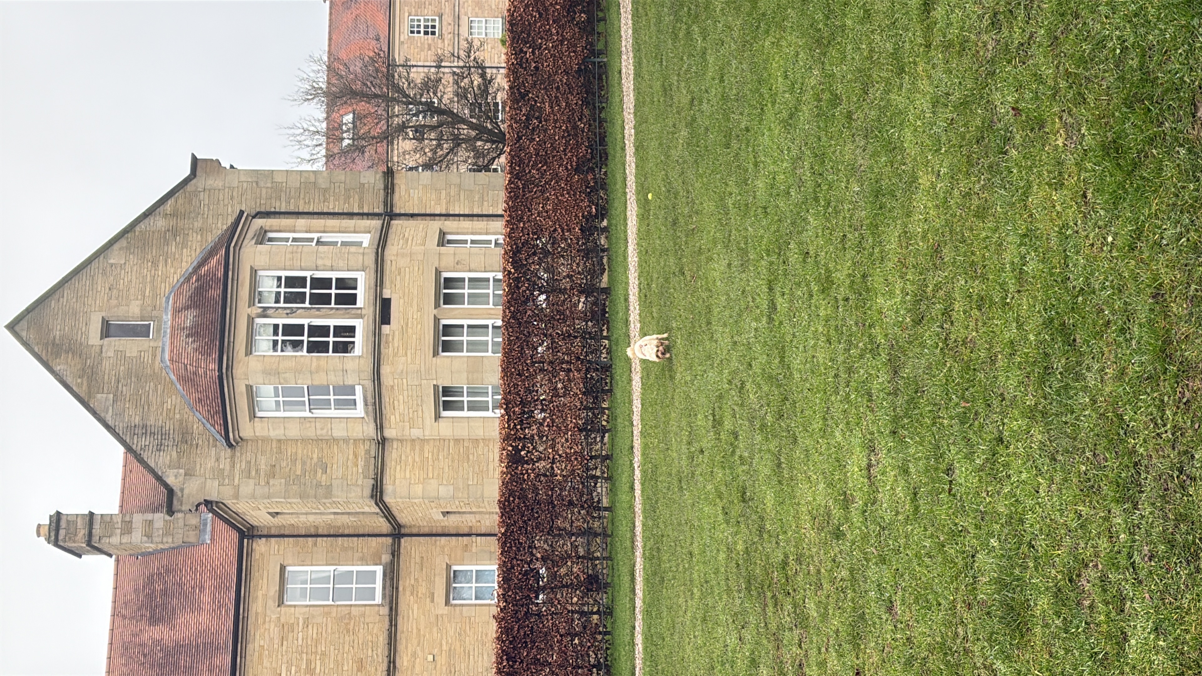 image-16