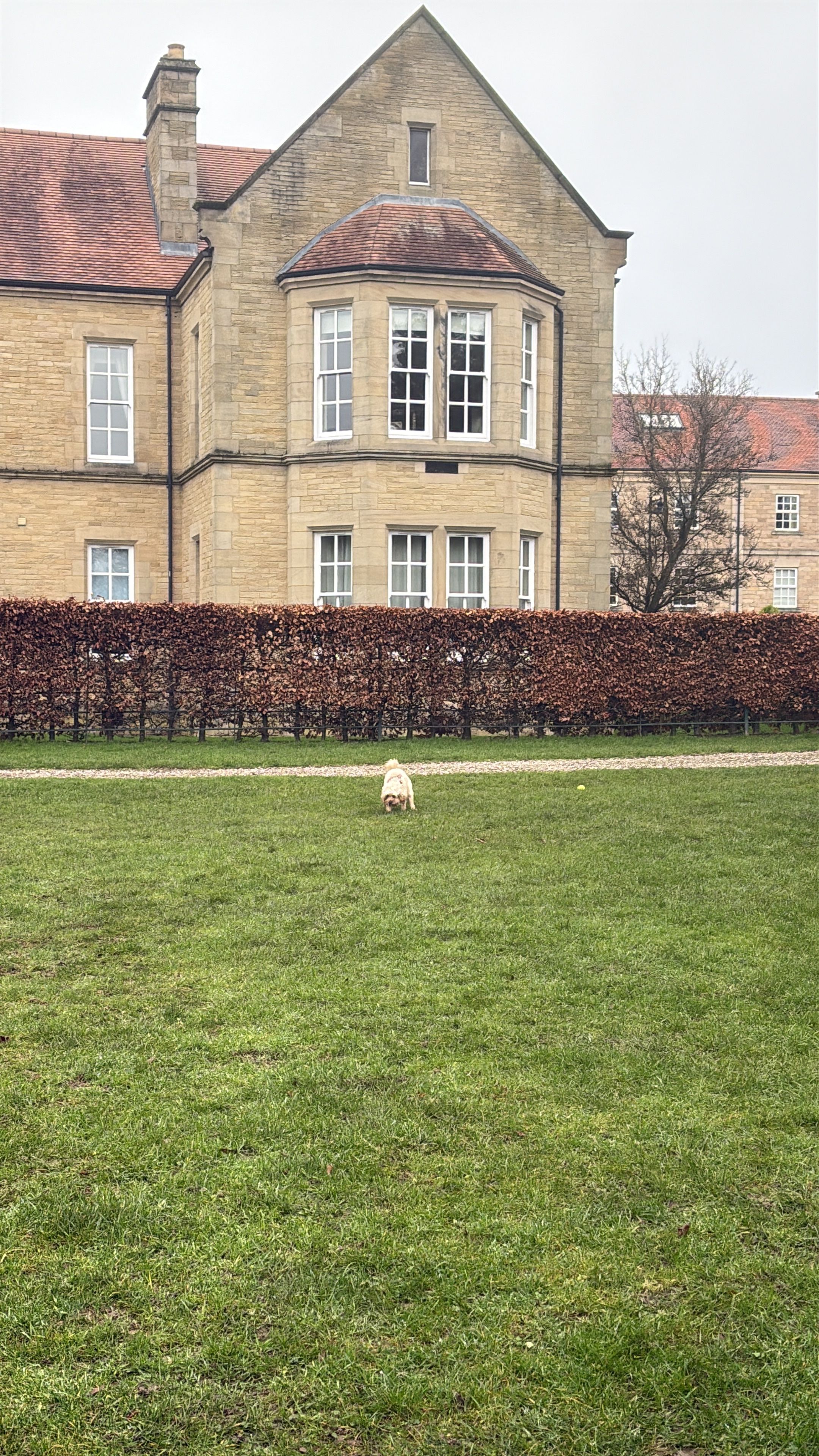 image-16