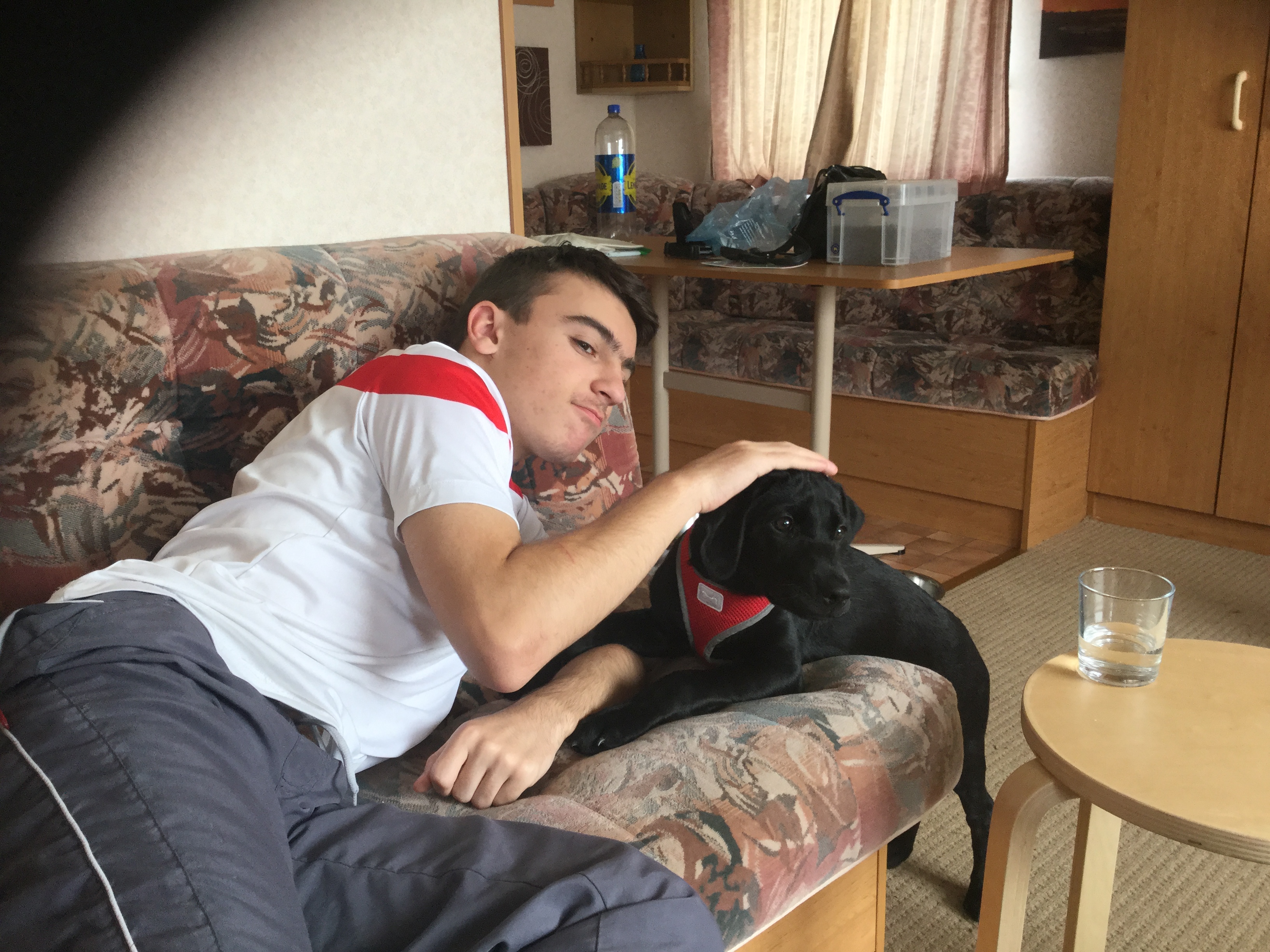 image-7