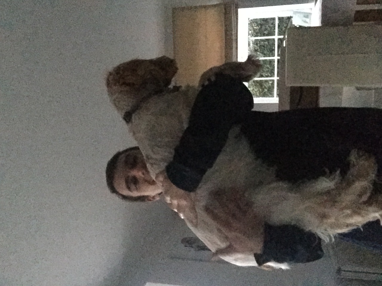 image-9