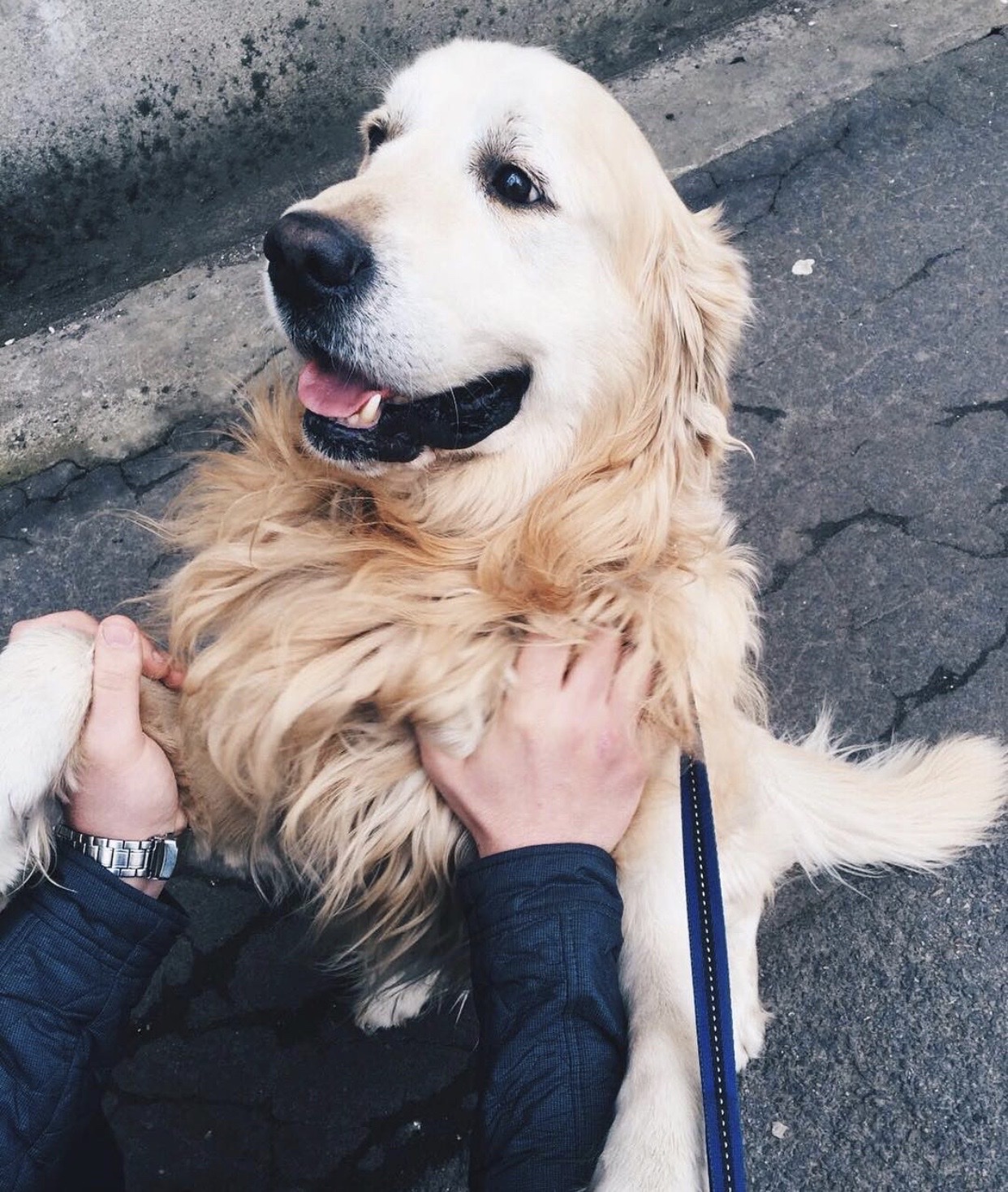 image-5