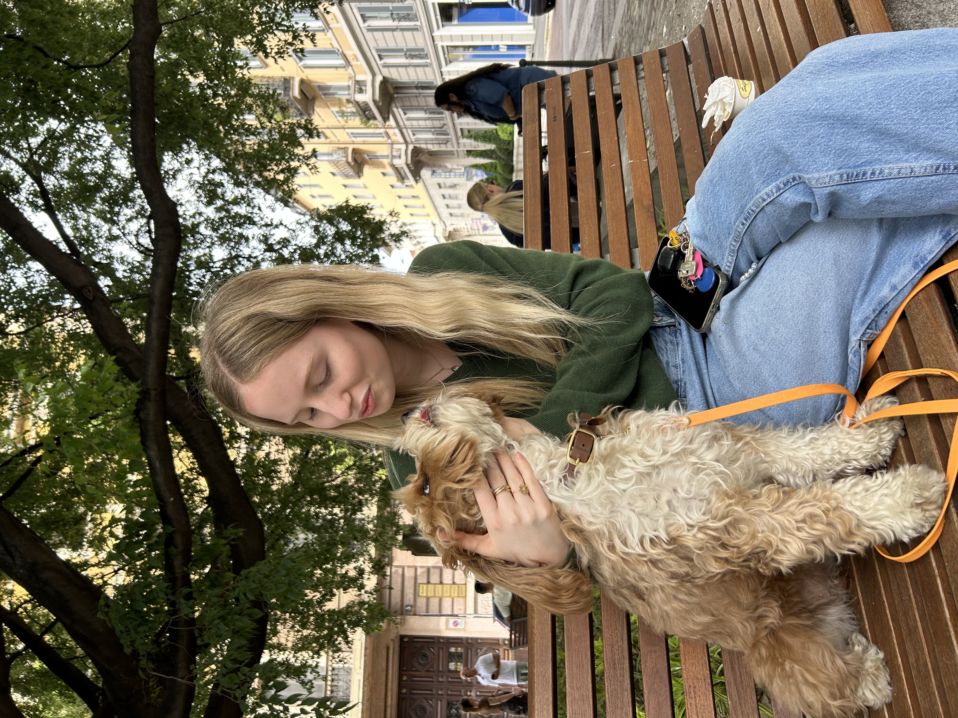 image-7