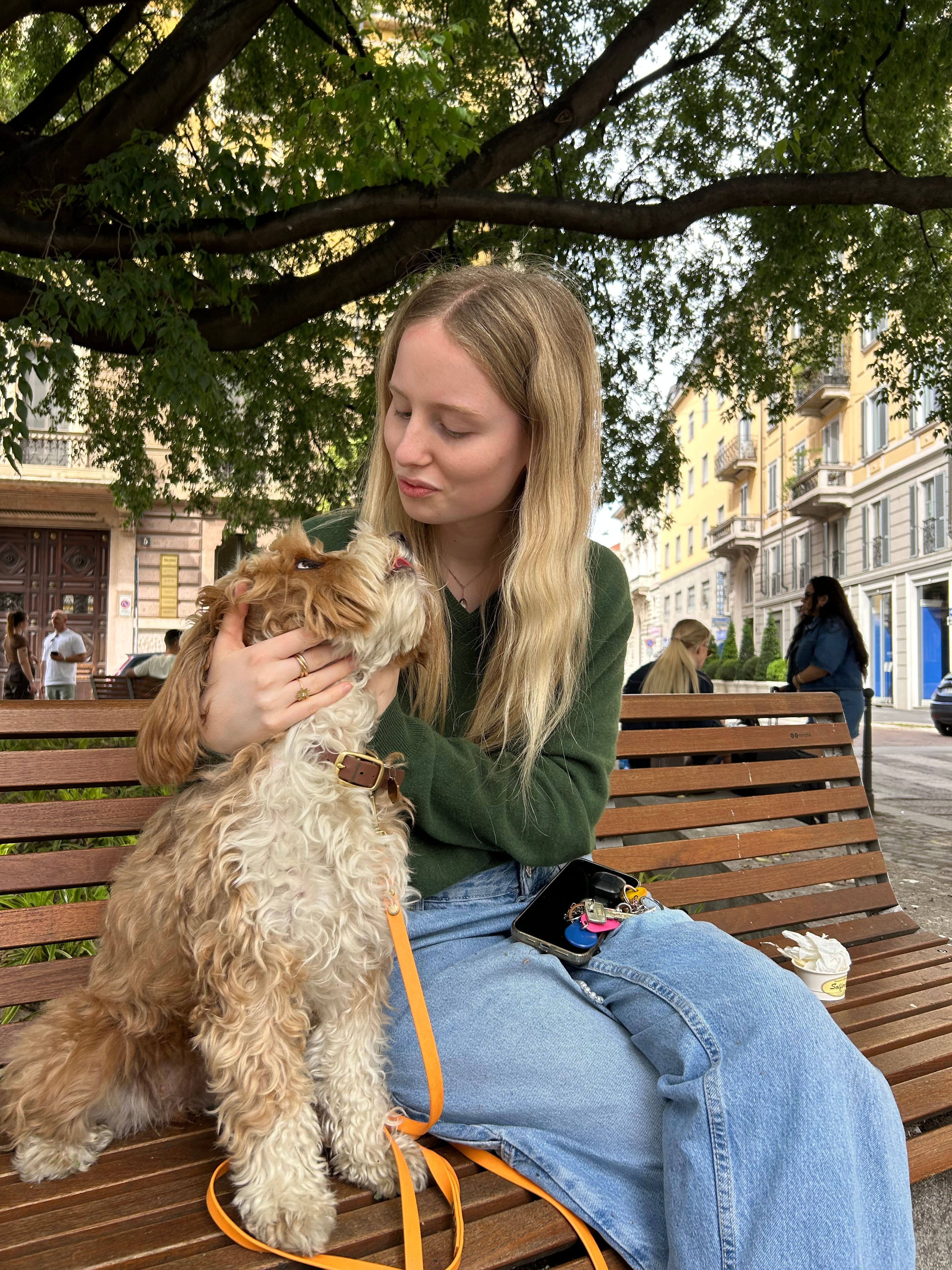 image-7