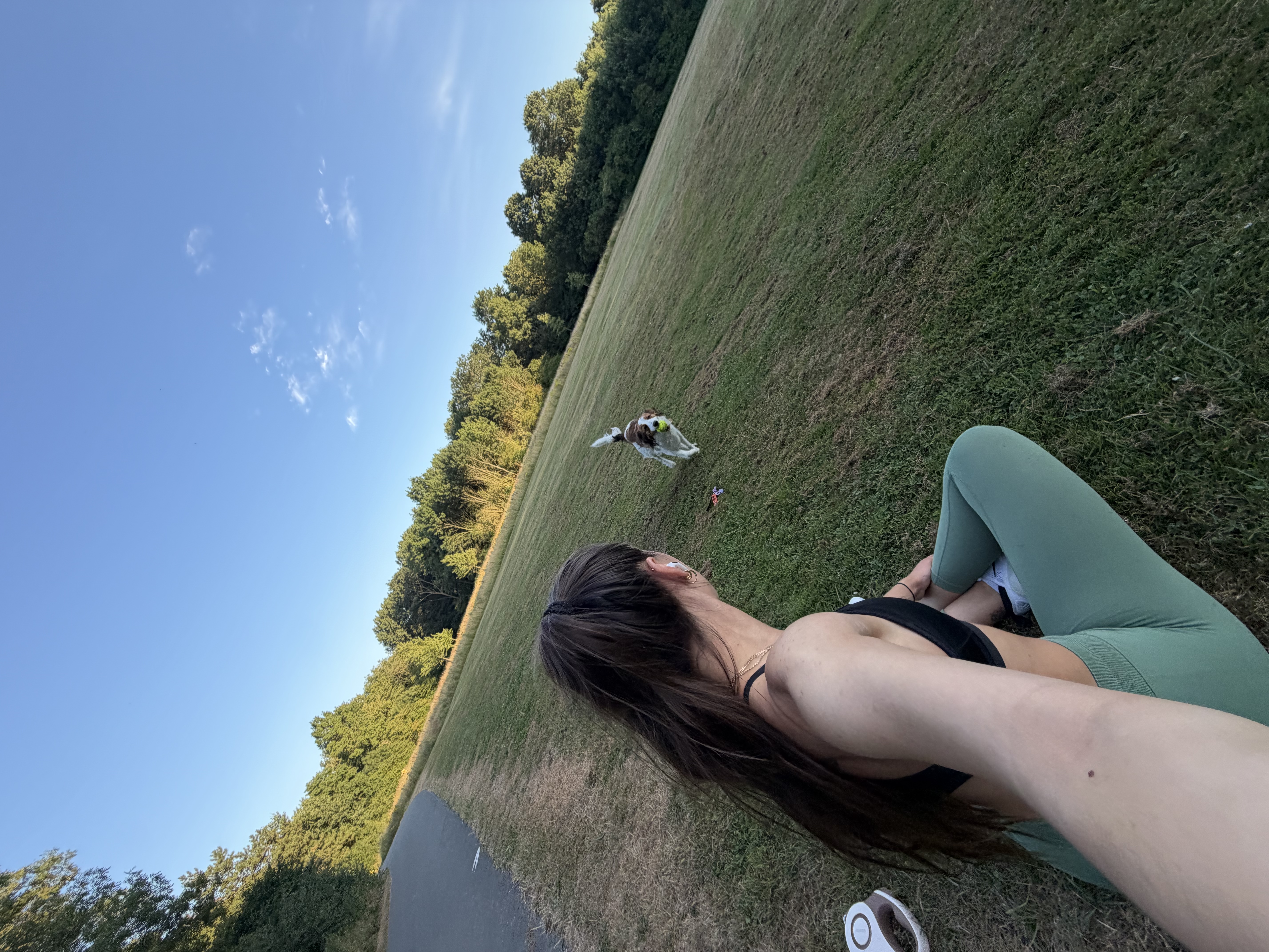 image-8