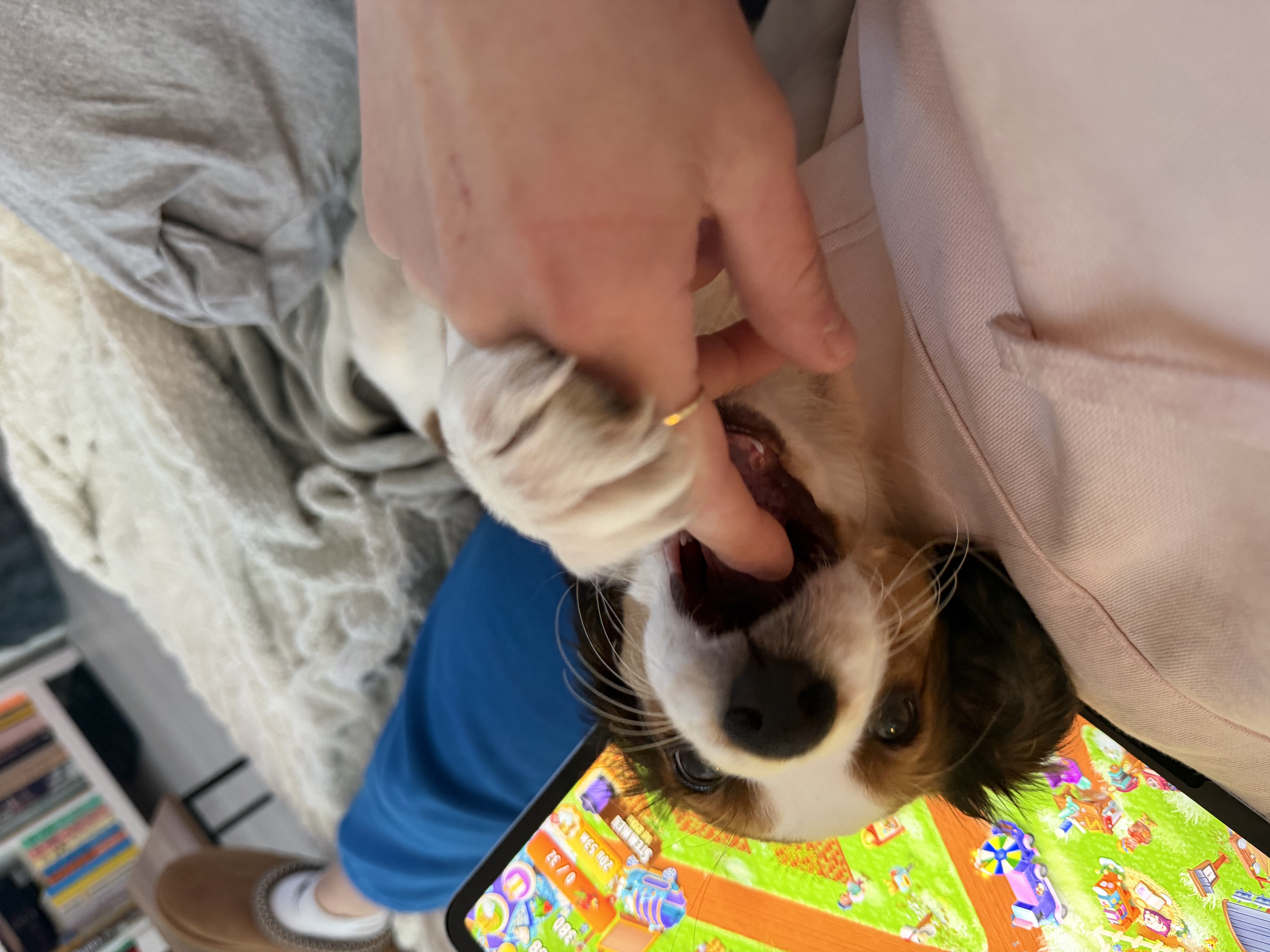 image-7