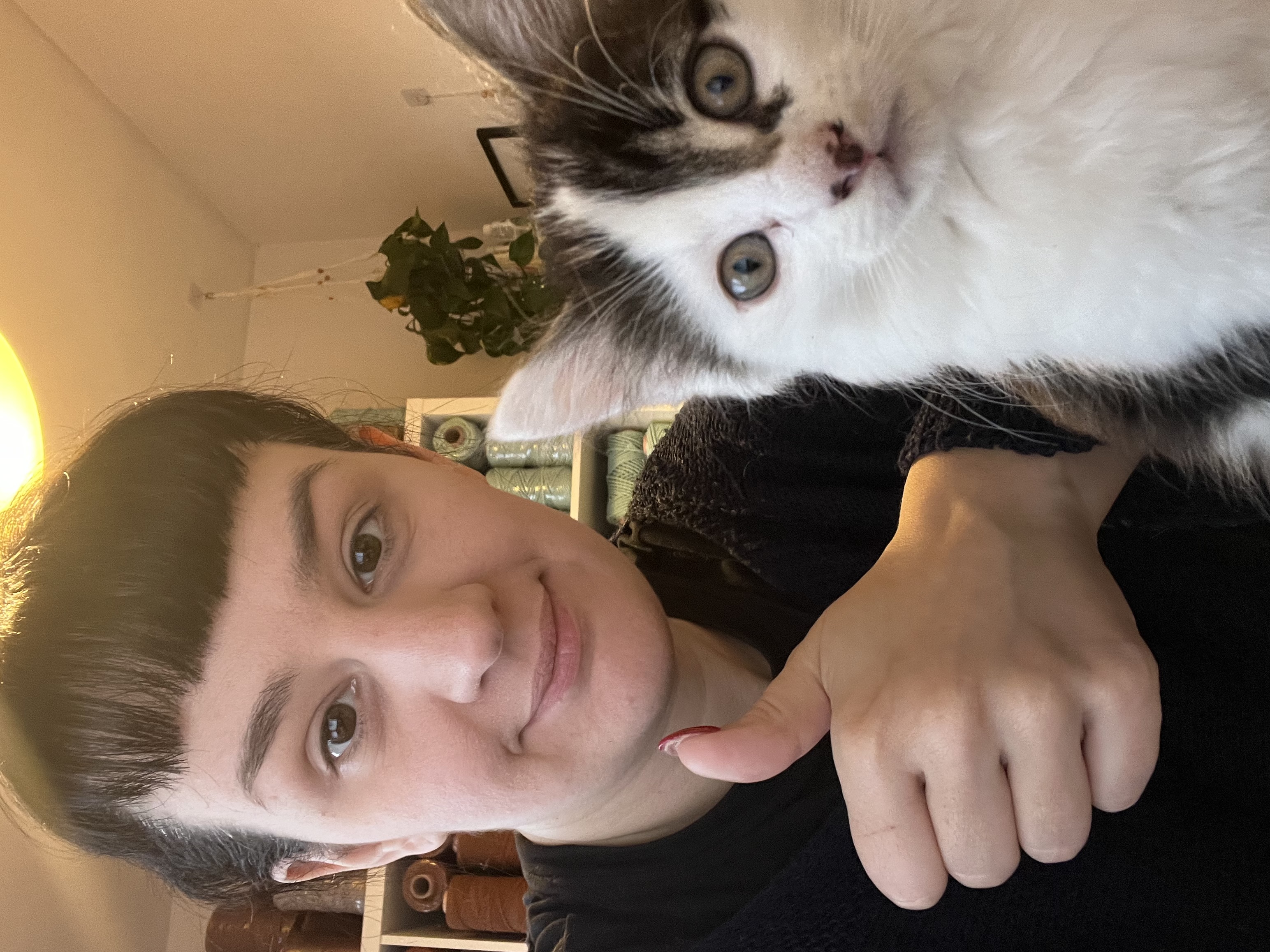 image-8