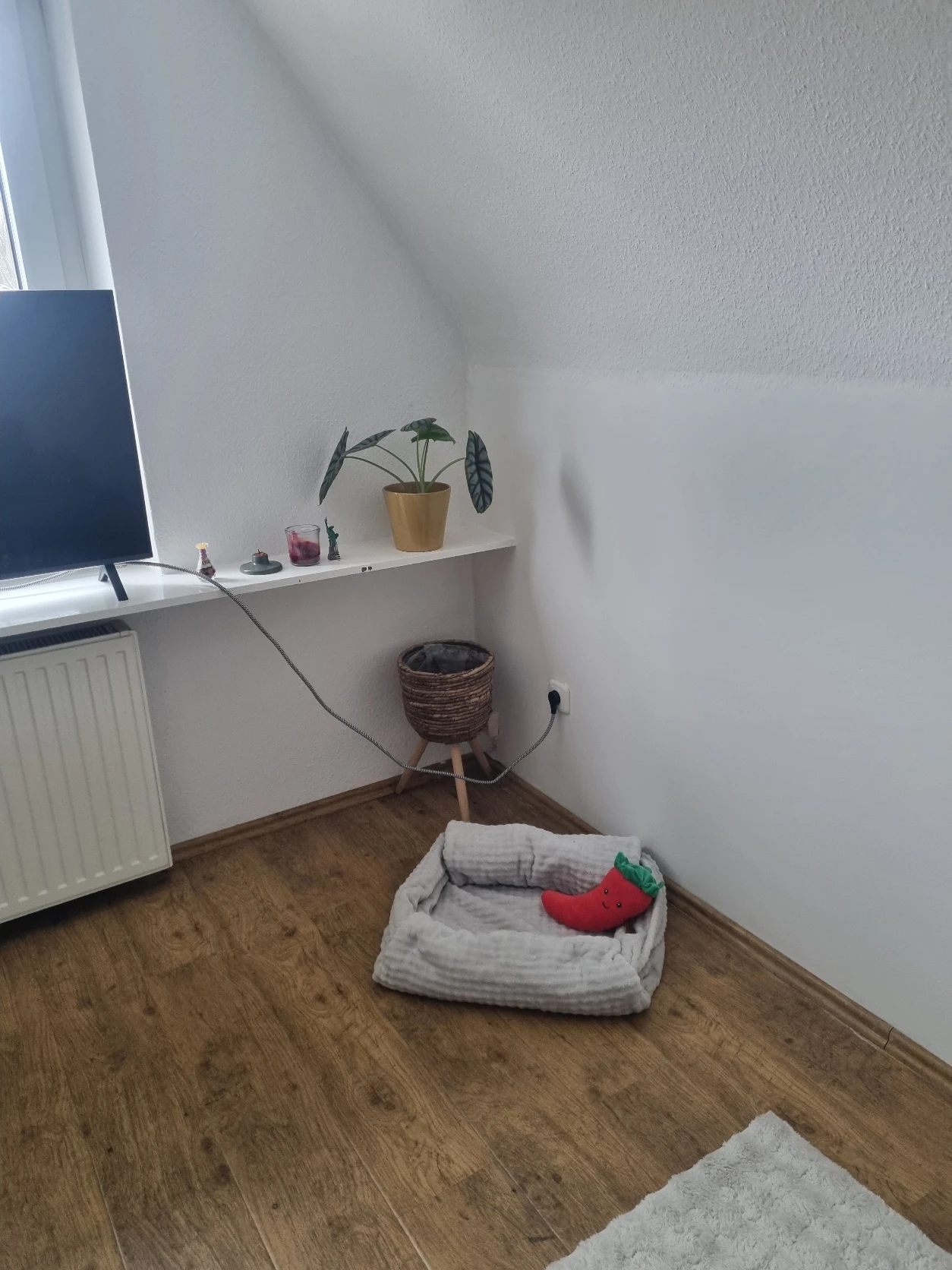image-19