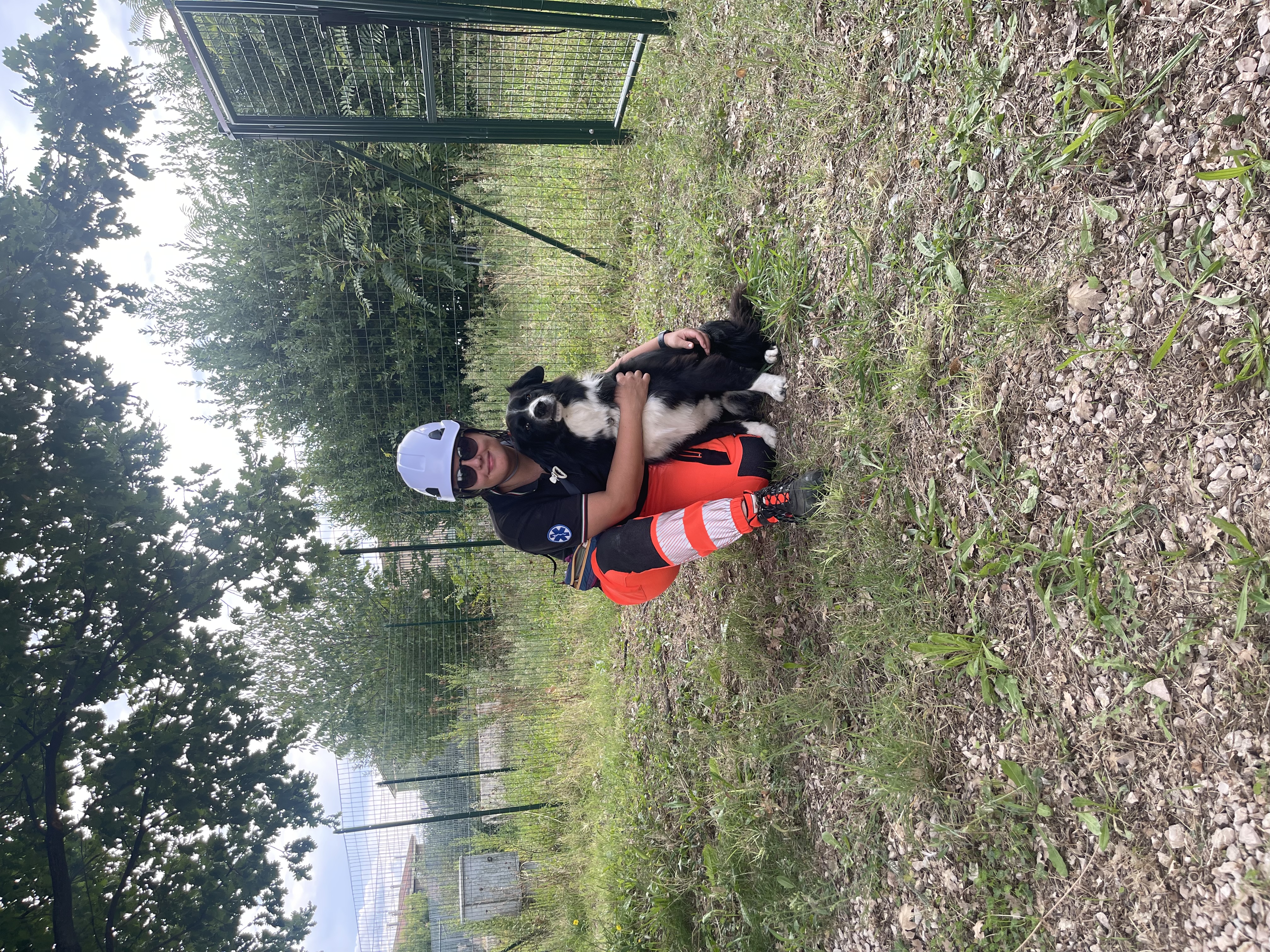 image-11