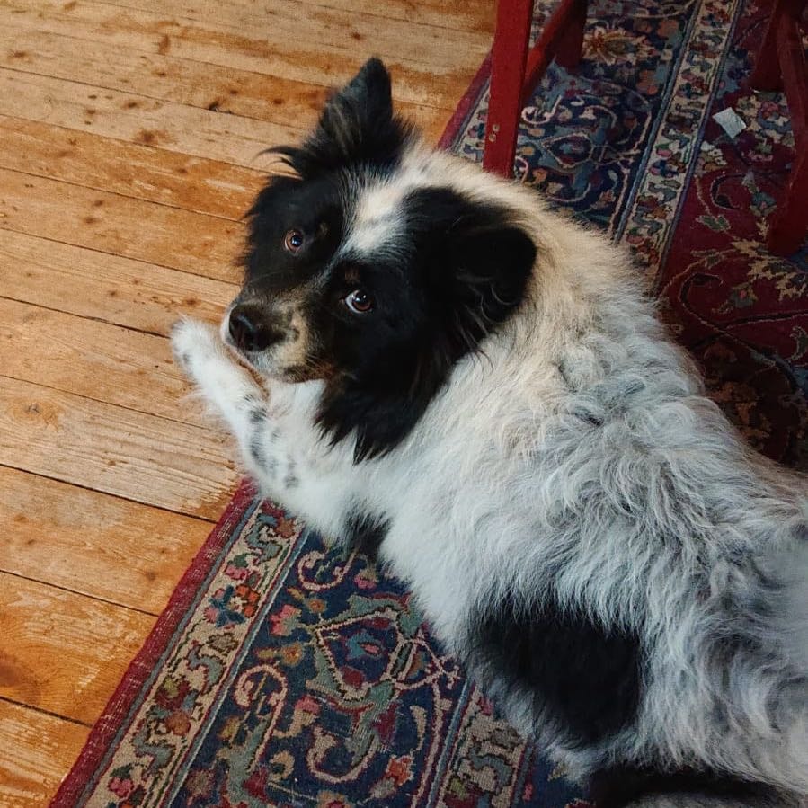 Matti