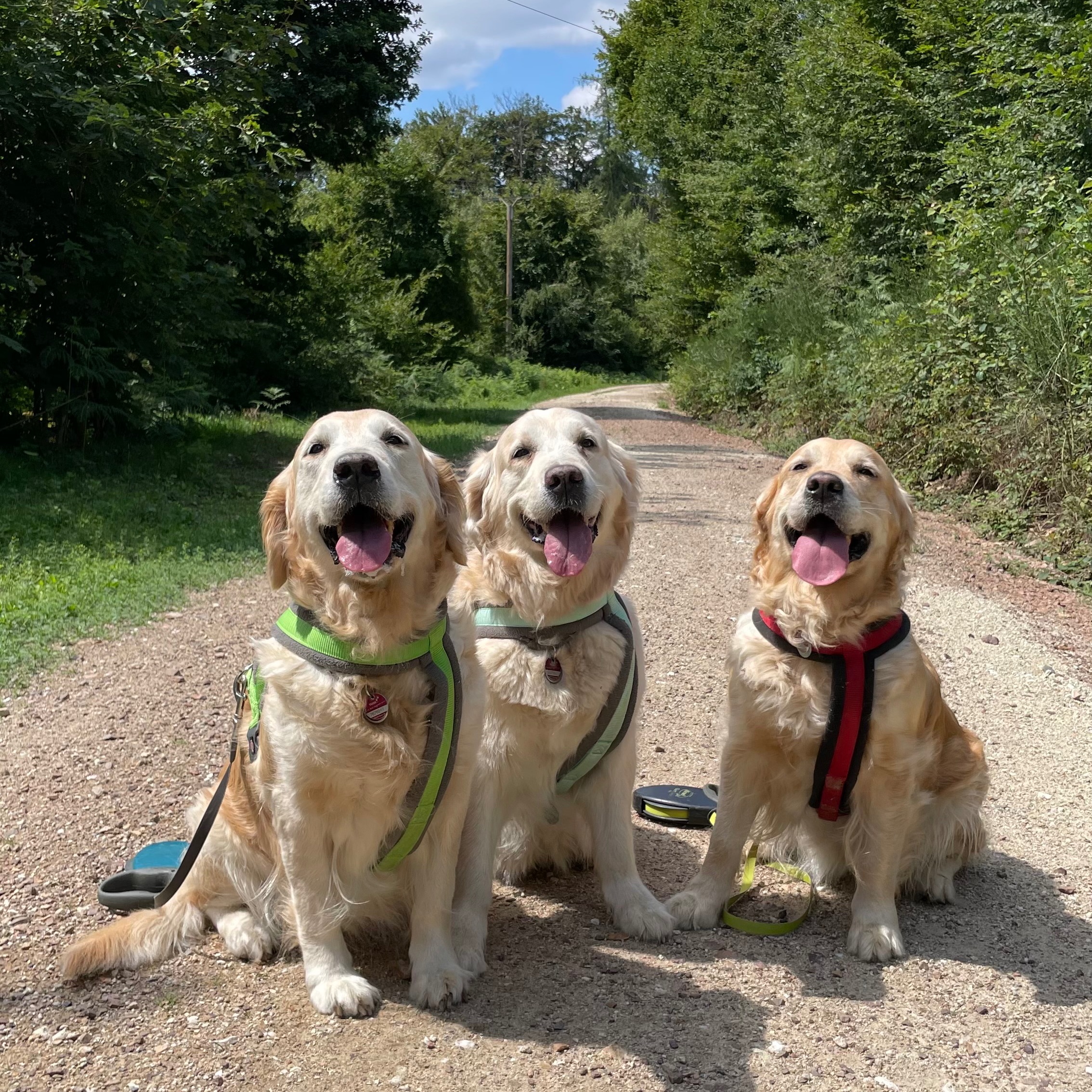 Arya, Brienne und Everest