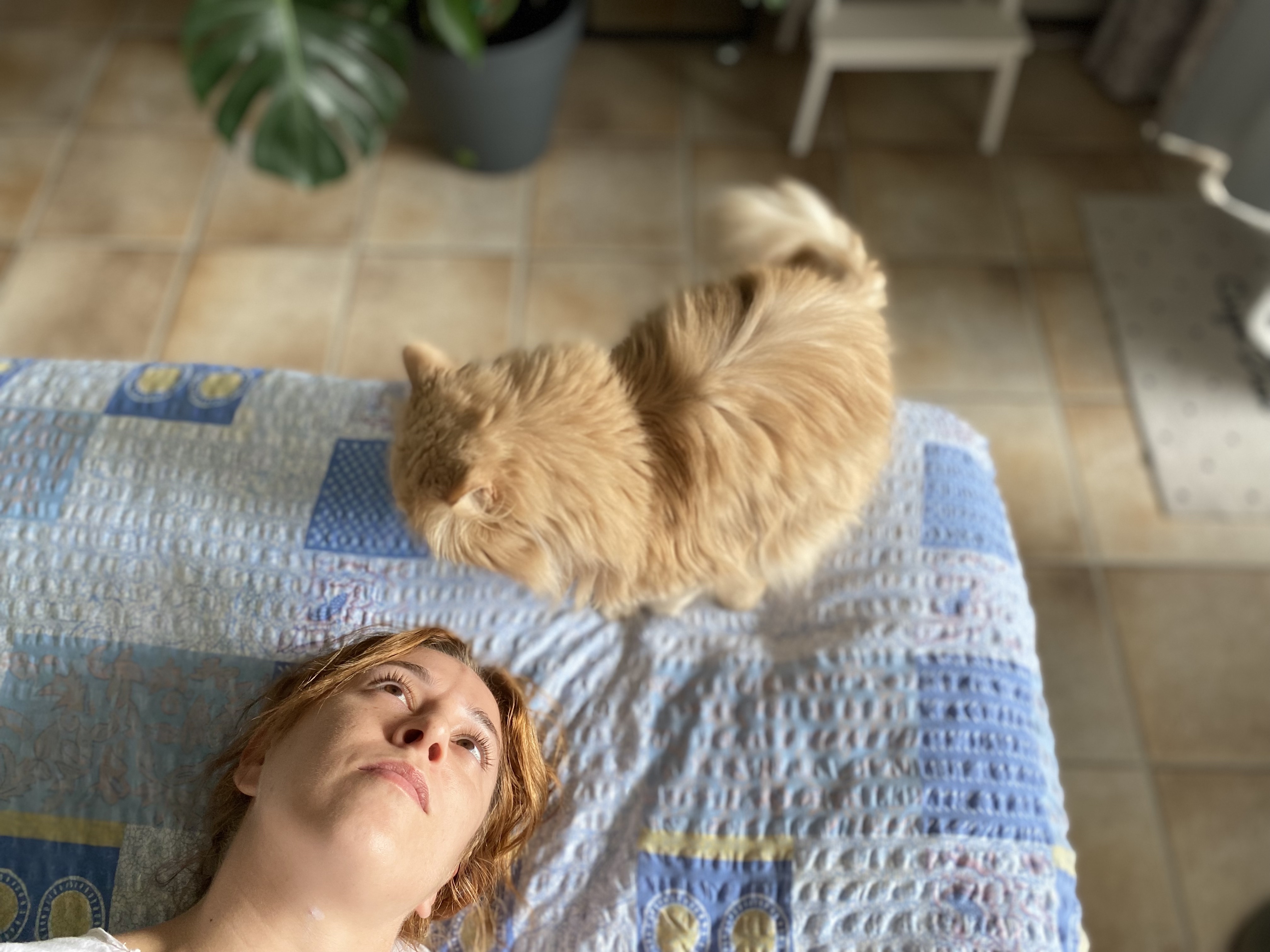 image-5
