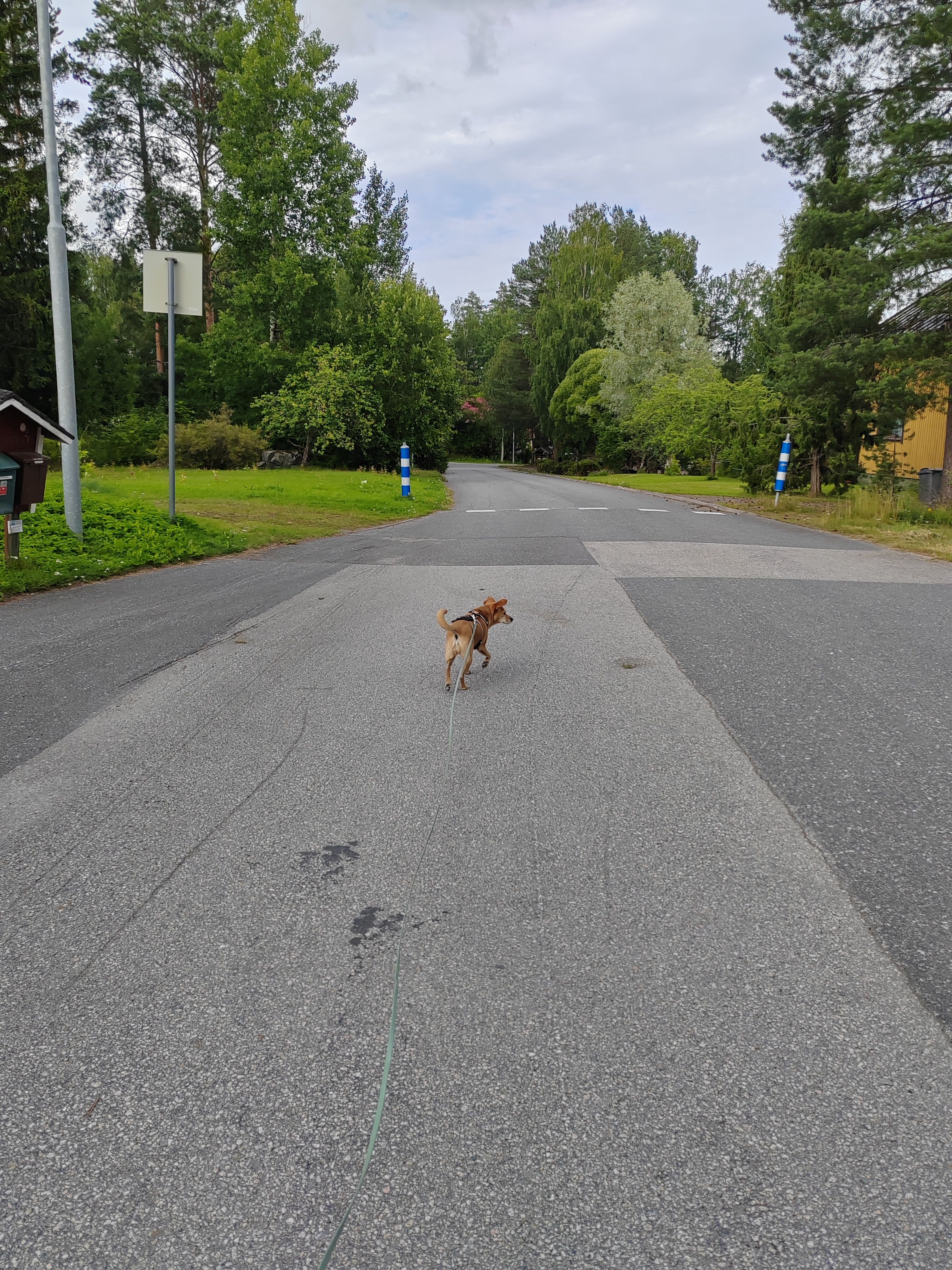 image-20