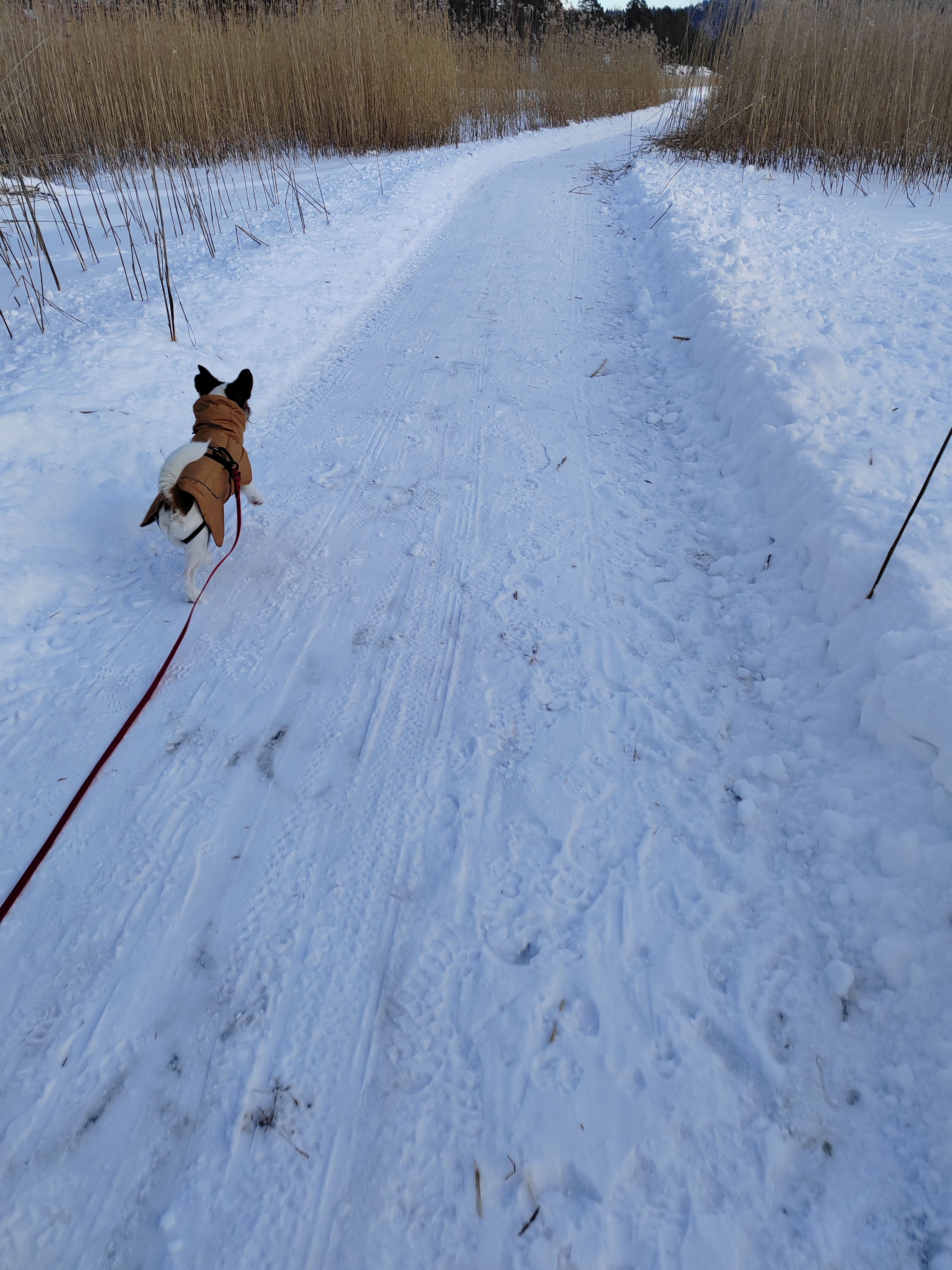image-21