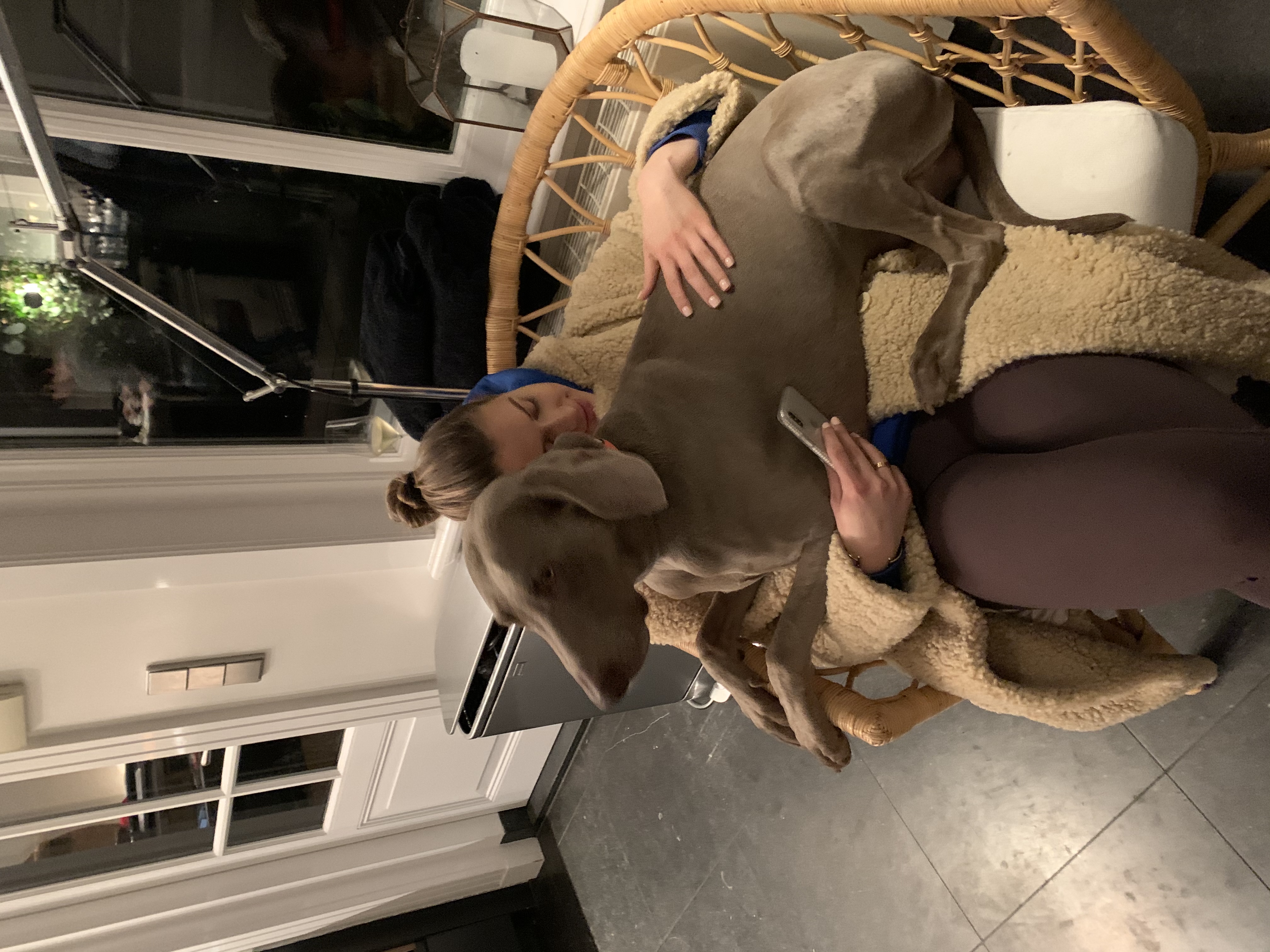 image-7