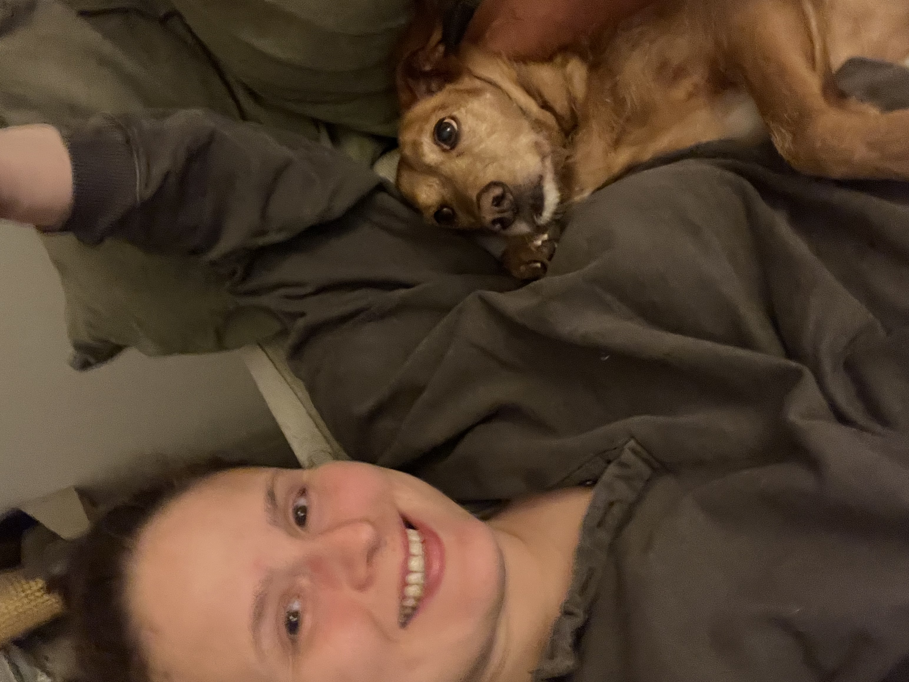 image-15