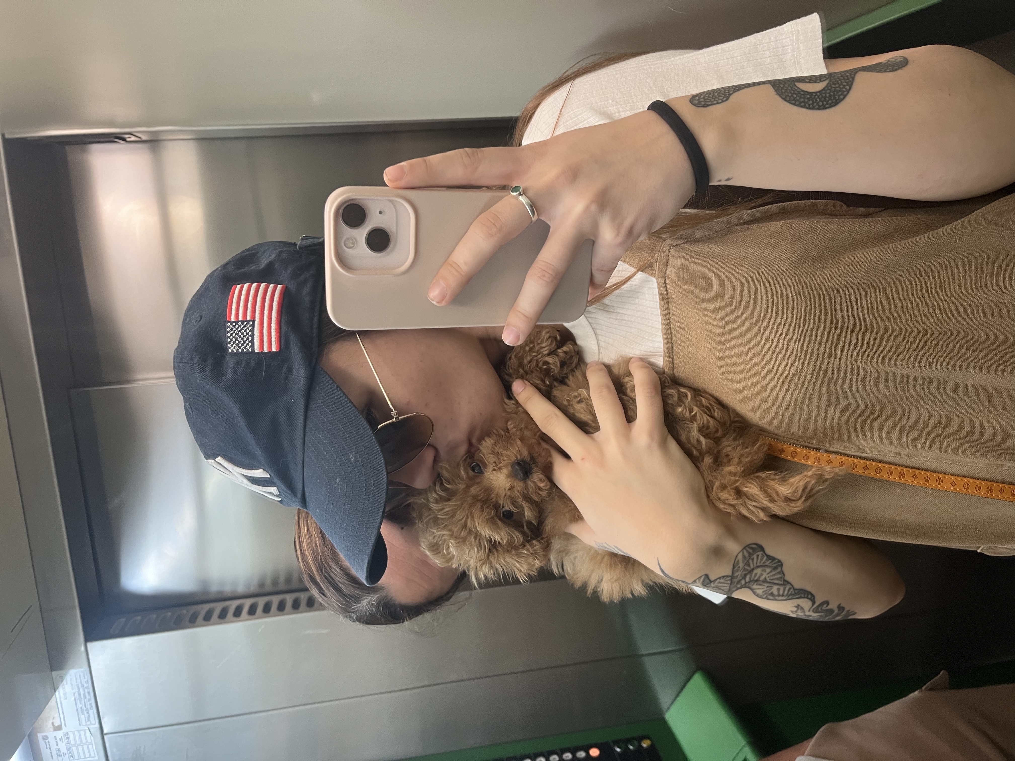 image-6