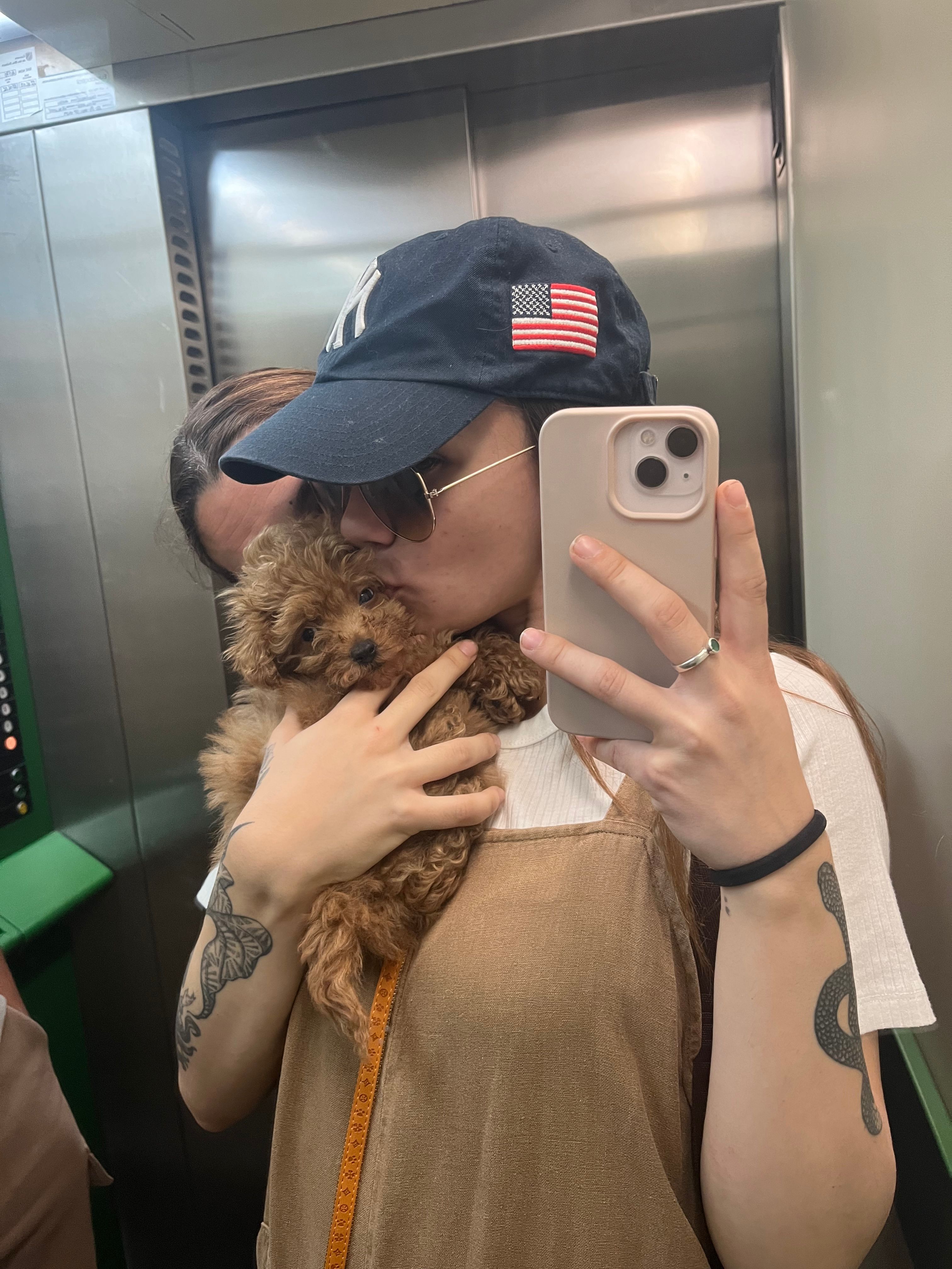 image-6