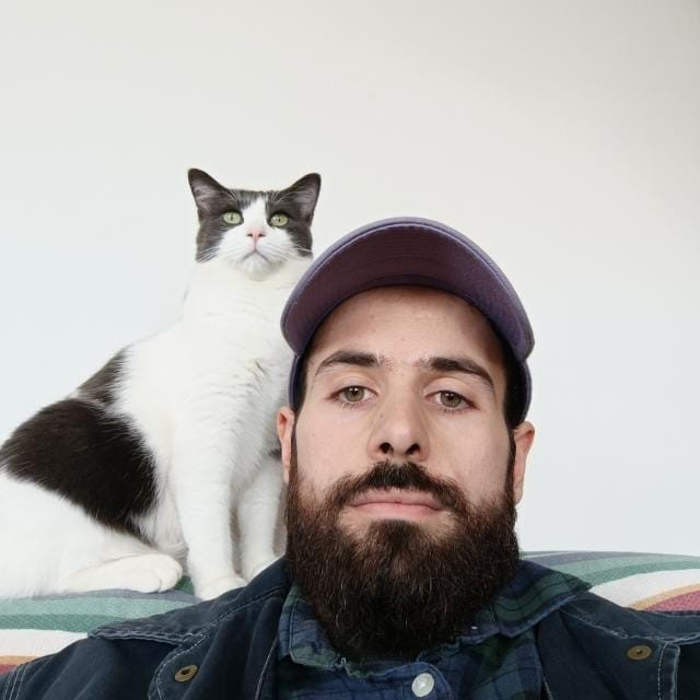 Ludovico