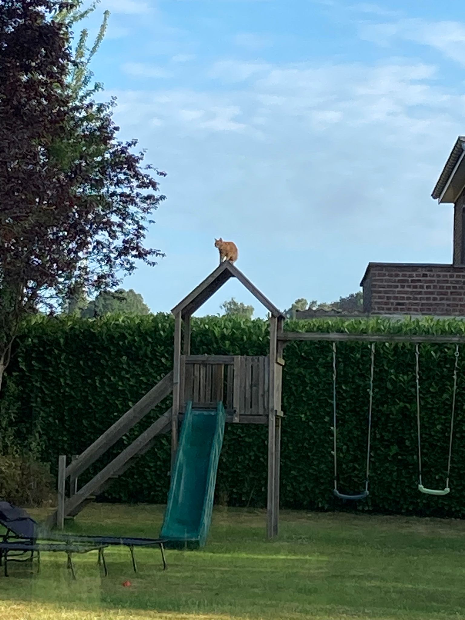 image-14