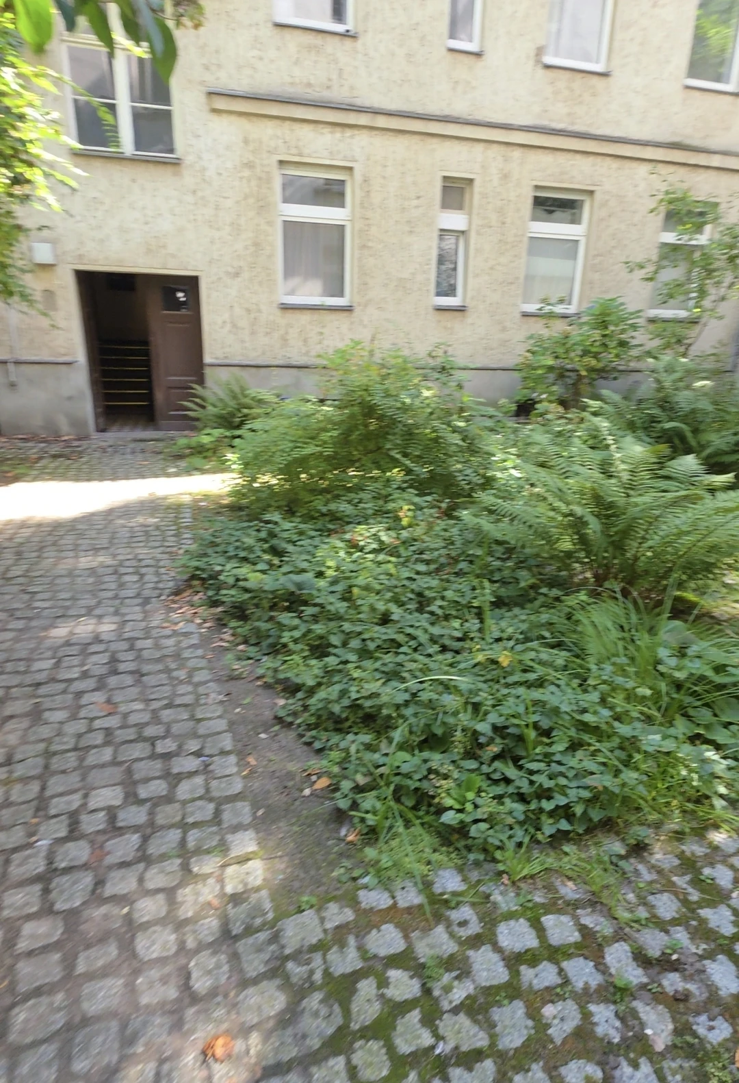 image-29