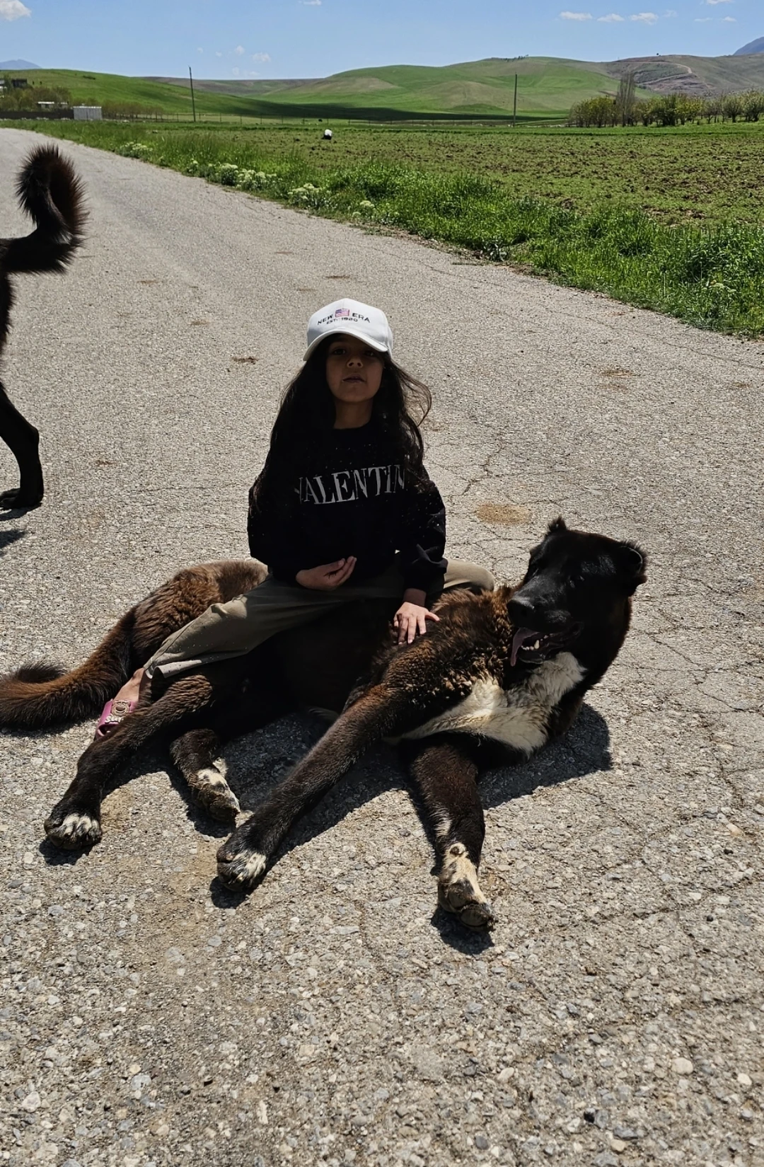 image-11