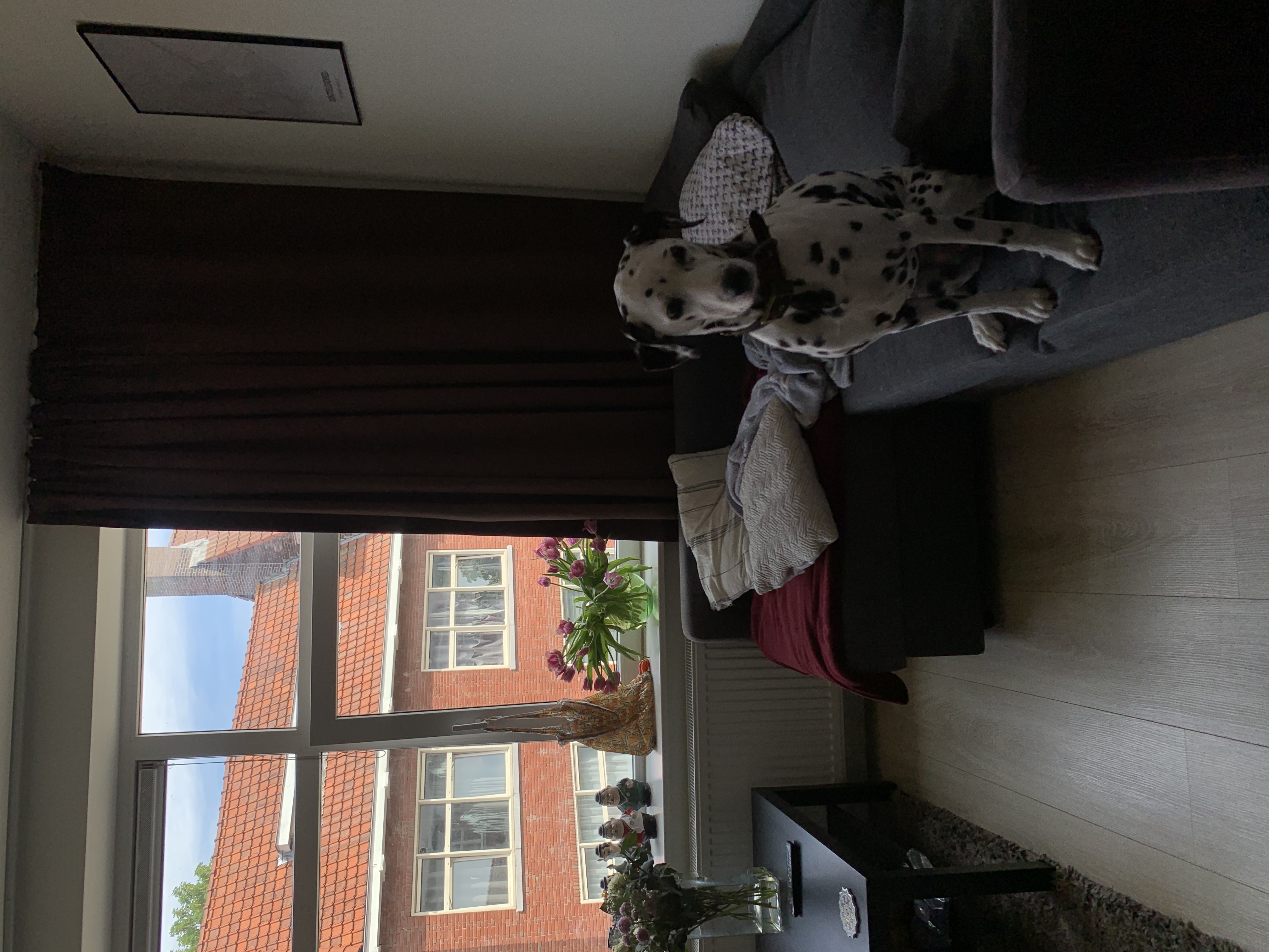 image-15