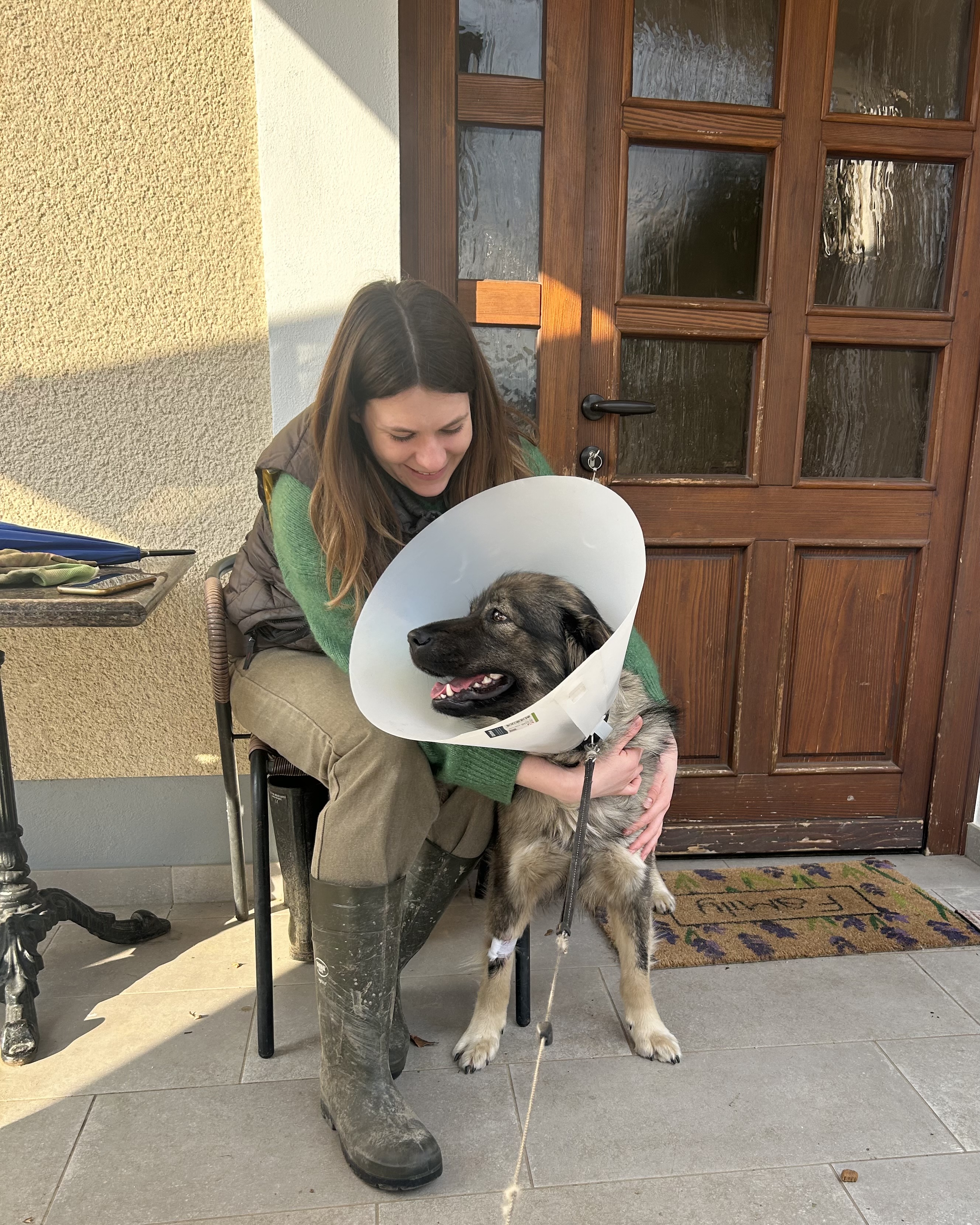 image-6
