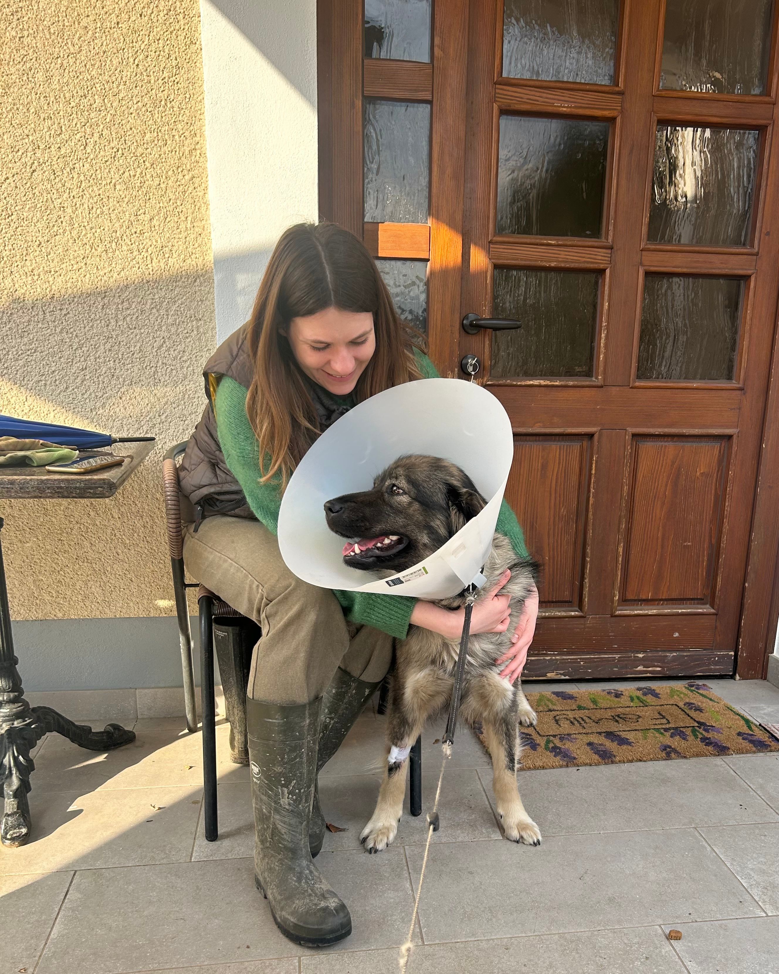 image-6