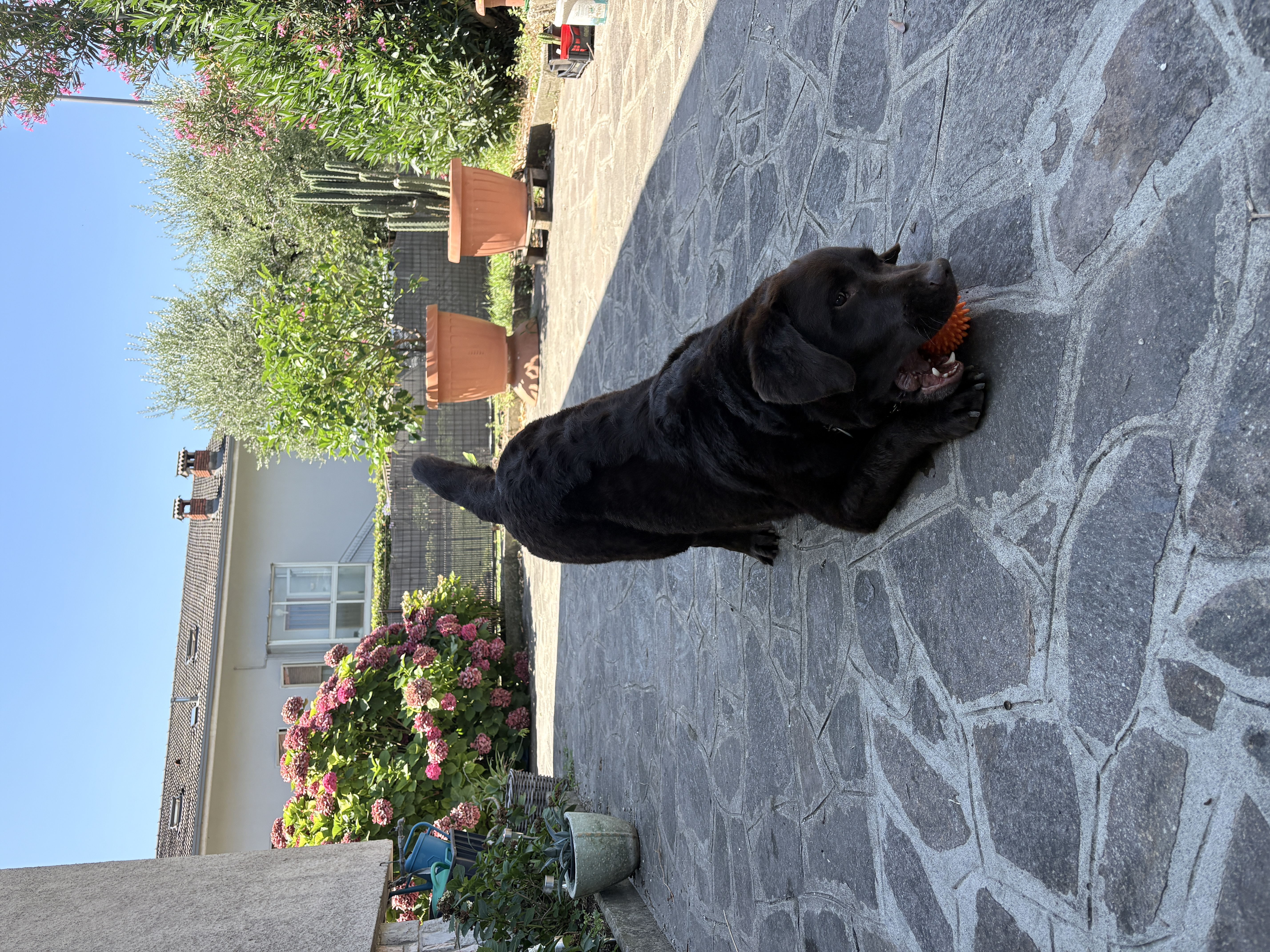 image-22
