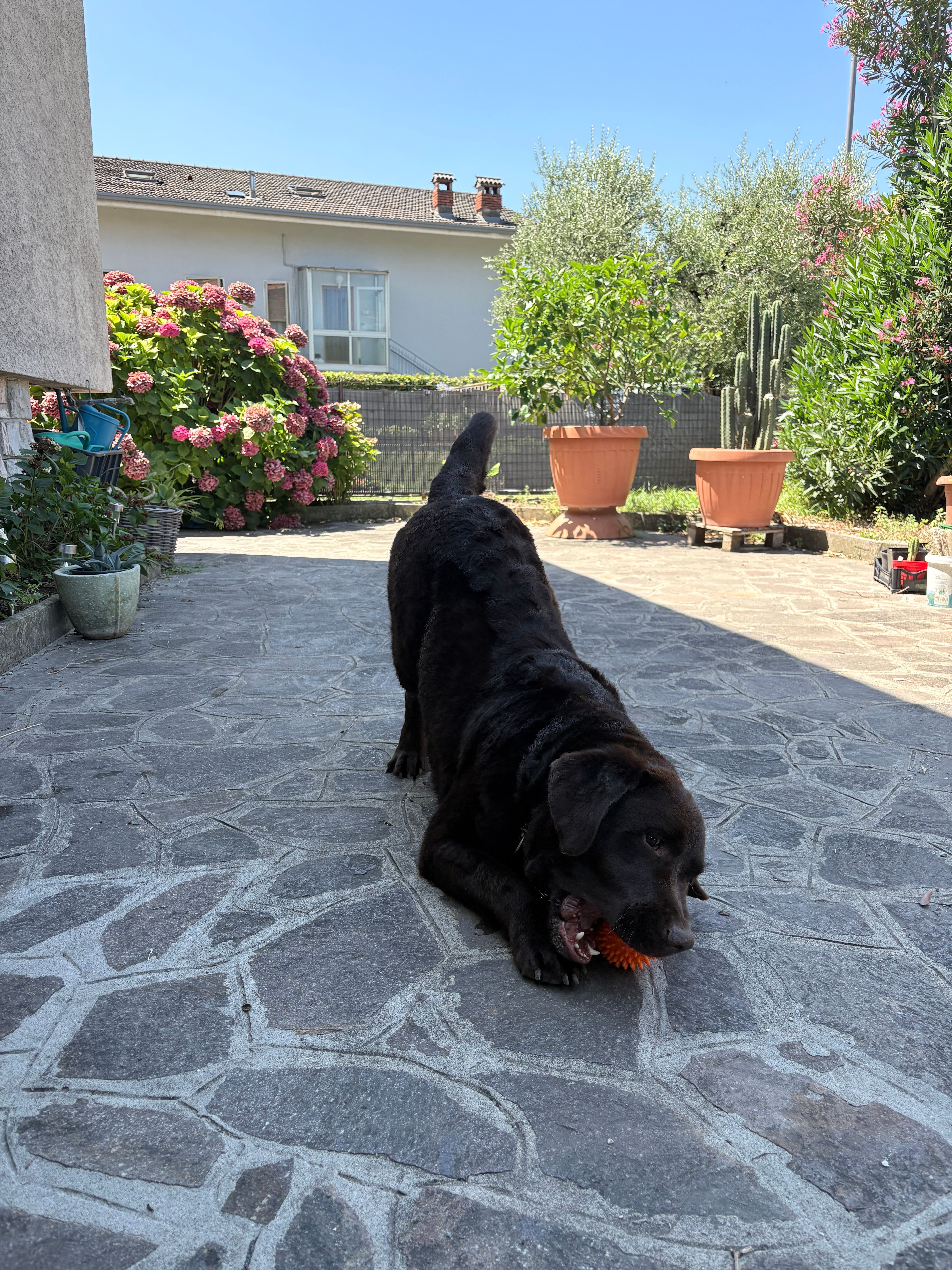 image-22