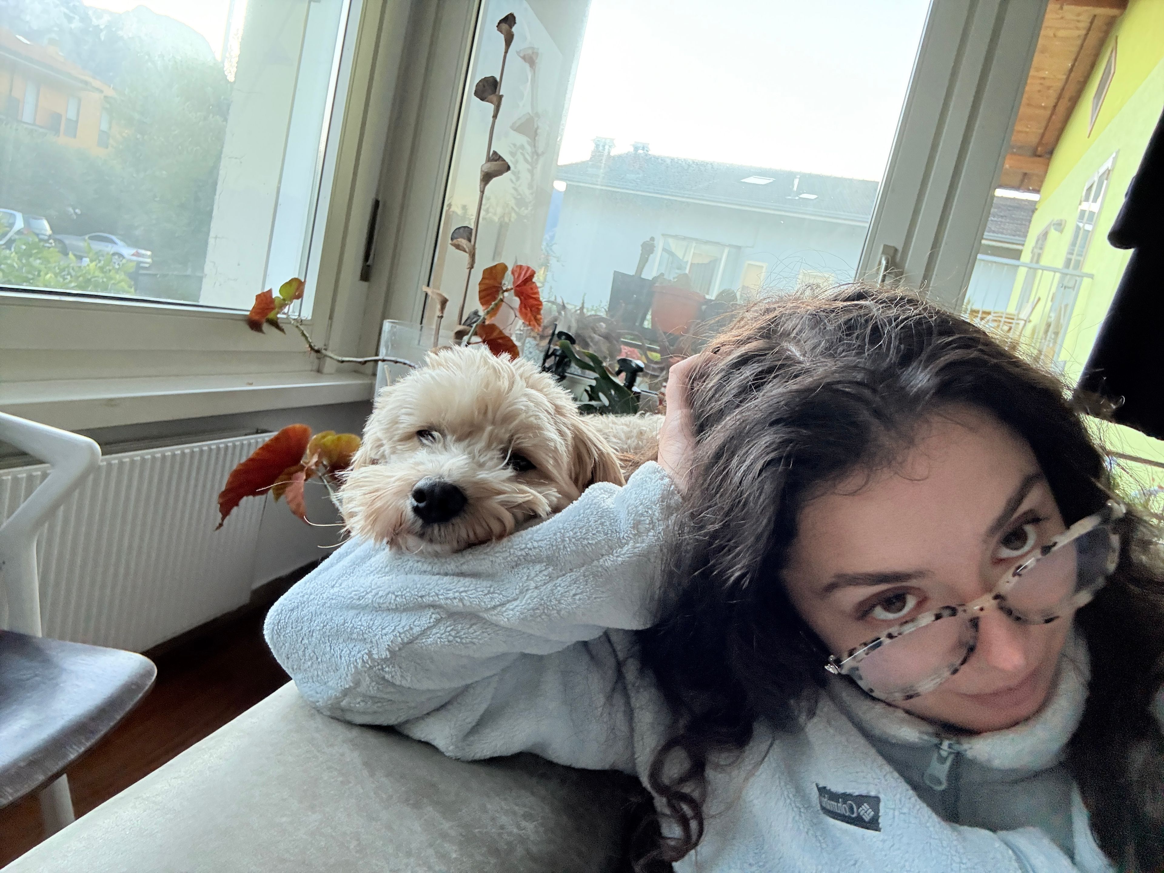 image-10